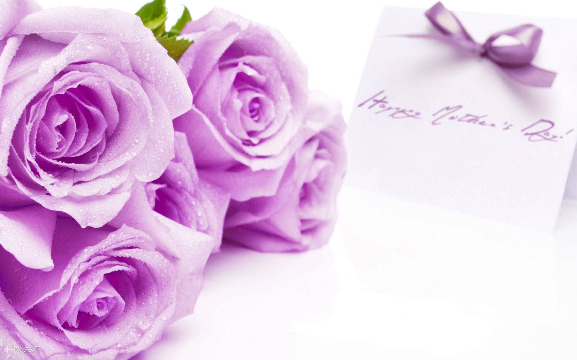 Stunning Bouquet Of Purple Roses For Mother's Day