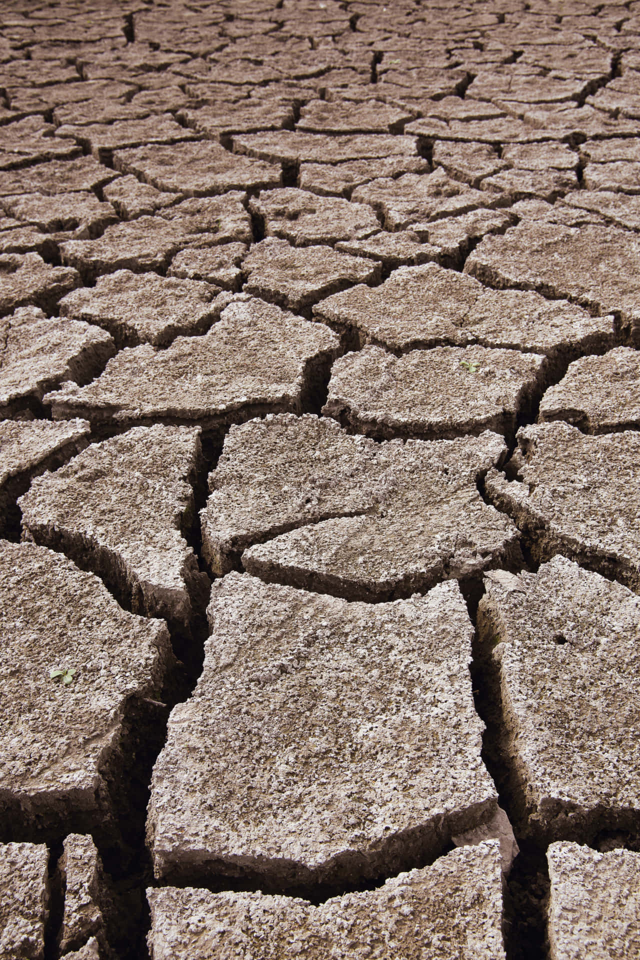 Stunning Brown Crack Soil Background