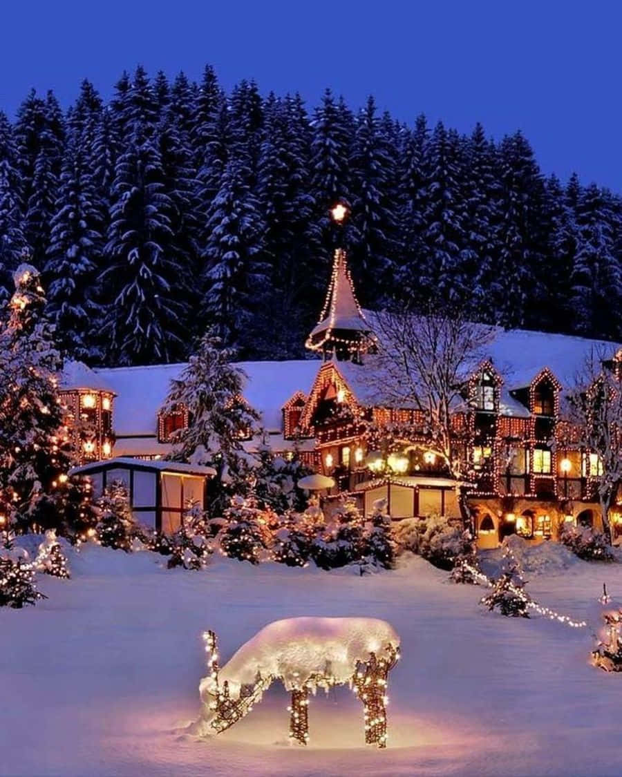 Stunning Christmas Winter Wonderland Background