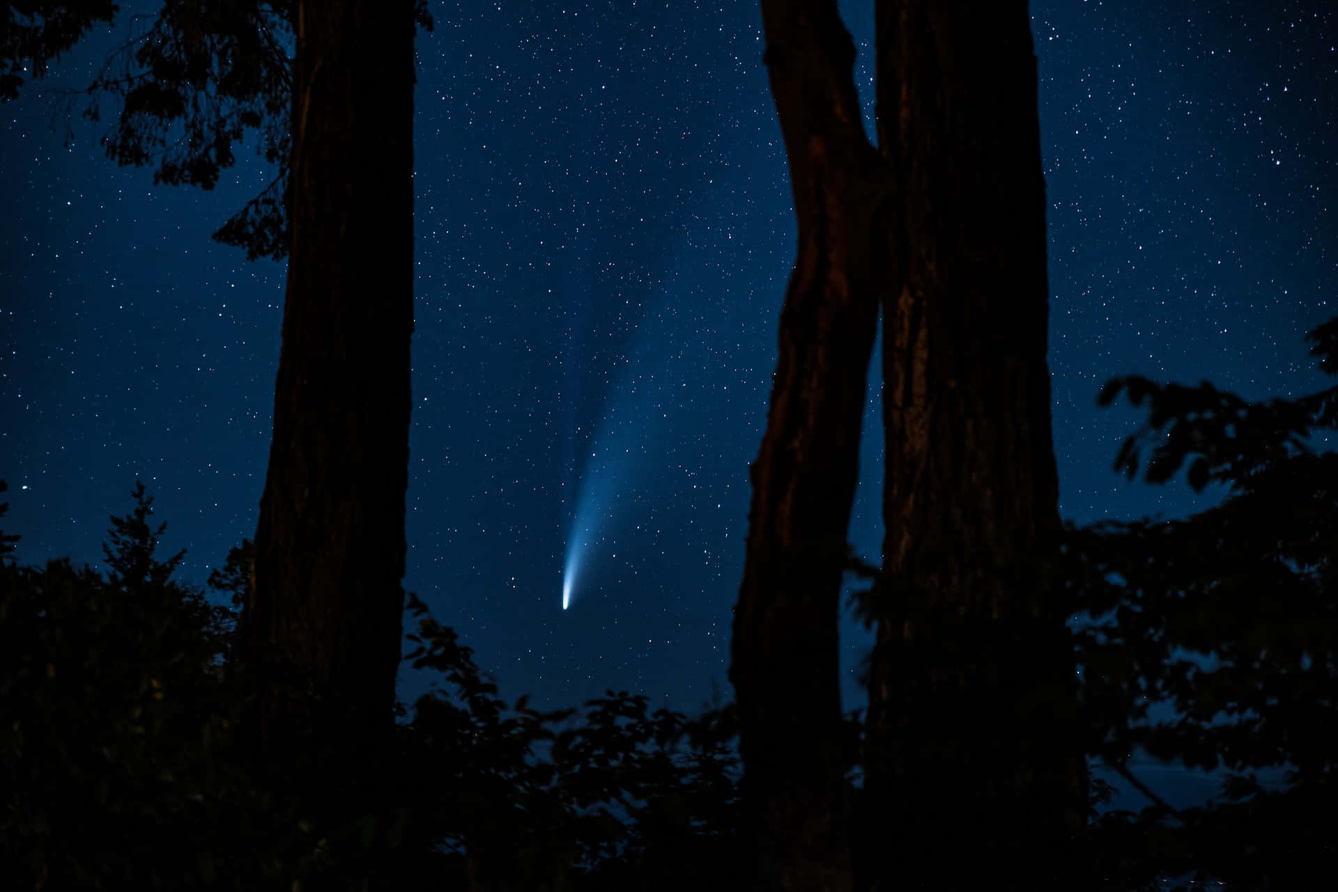 Stunning Comet In The Night Sky Background