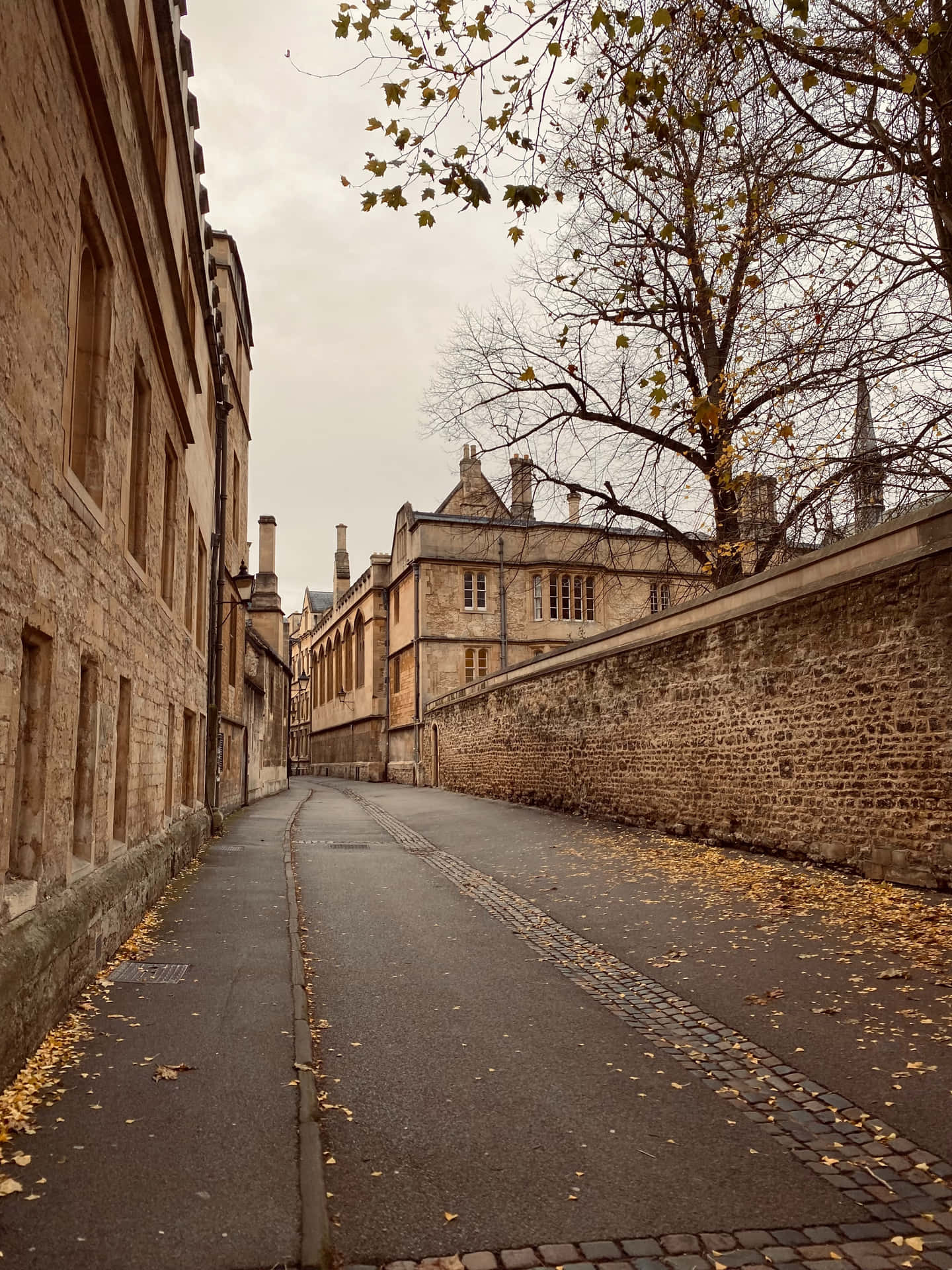 Stunning Courtyard View Of Oxford University Background