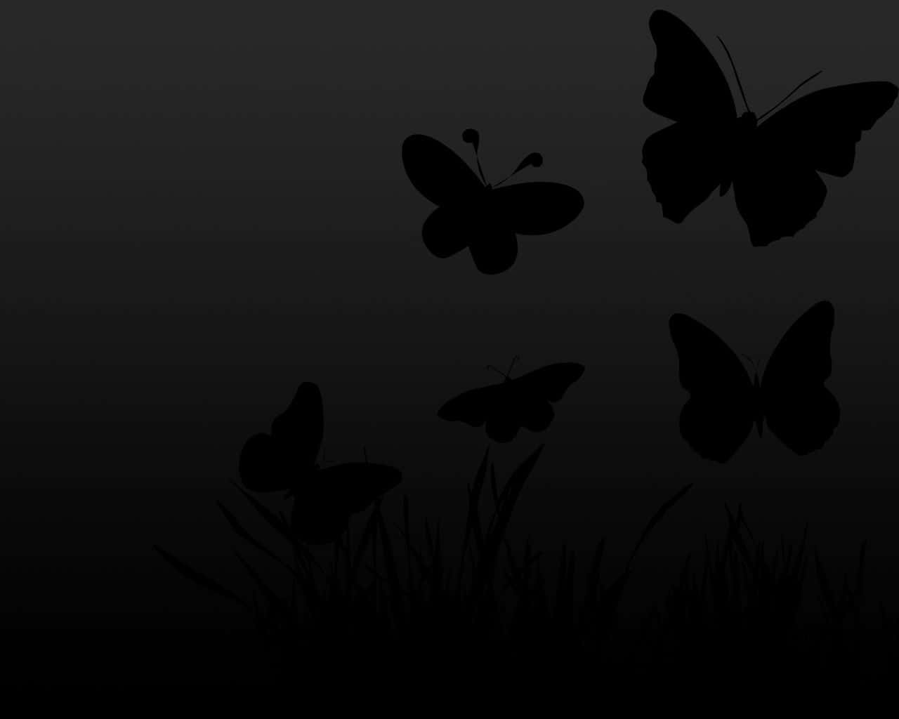 Stunning Dark Butterfly On A Mysterious Night Background