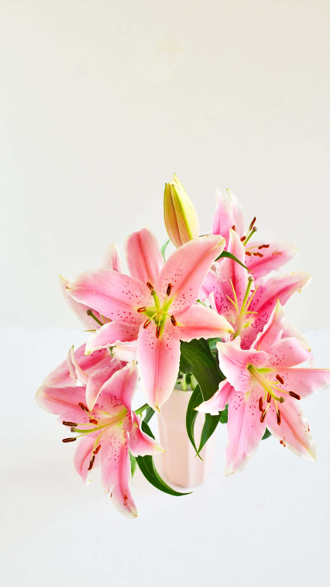 Stunning Eastern Lily In Full Bloom Background