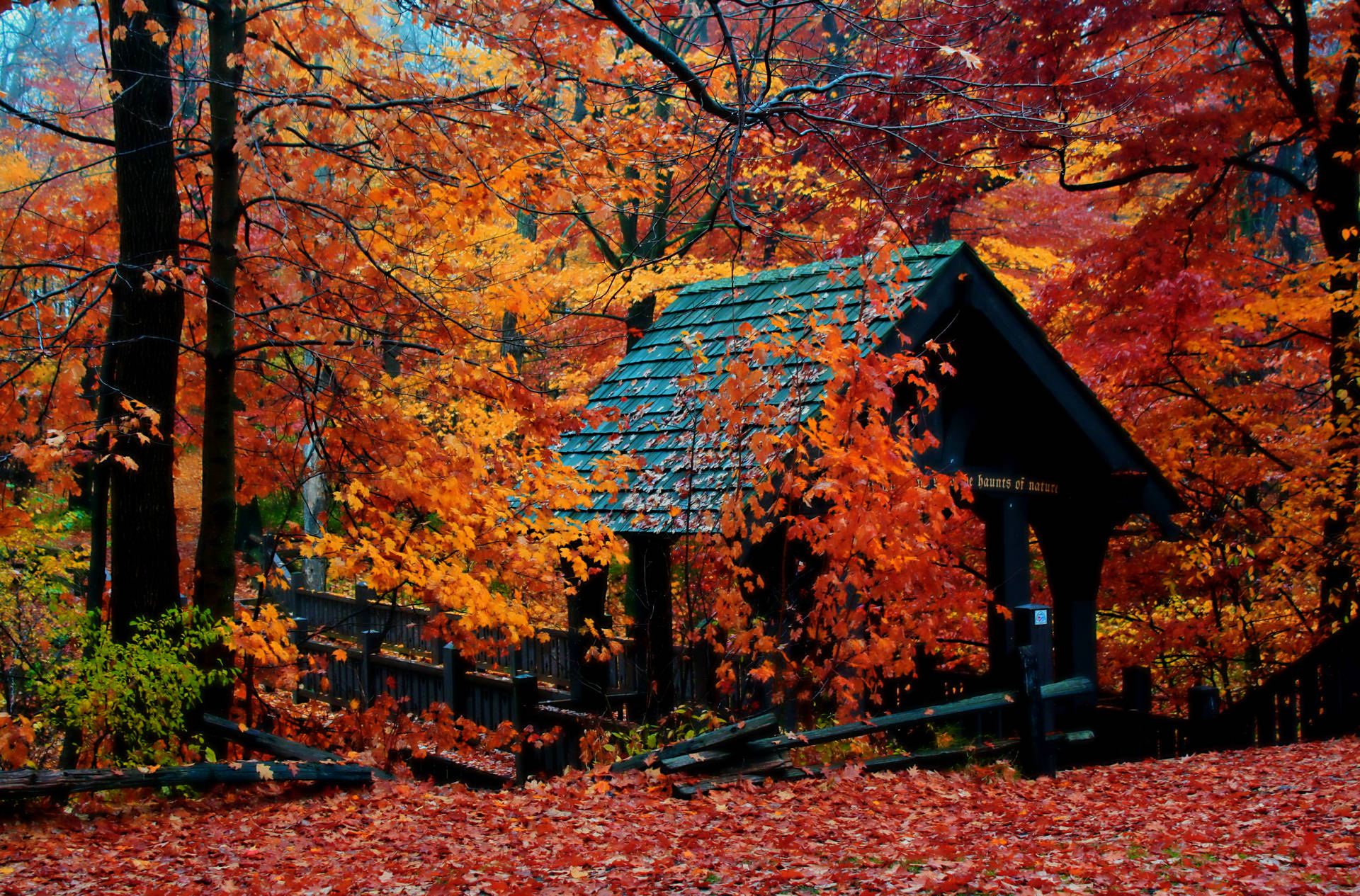 Stunning Fall Season In Milwaukee Background