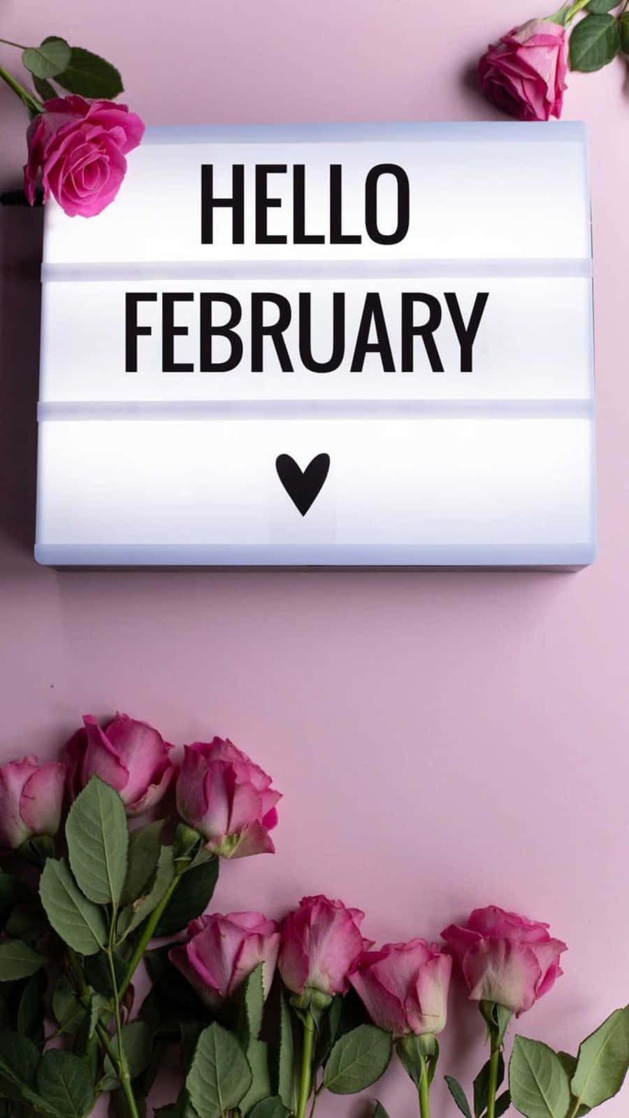 Stunning February Iphone Wallpaper Background