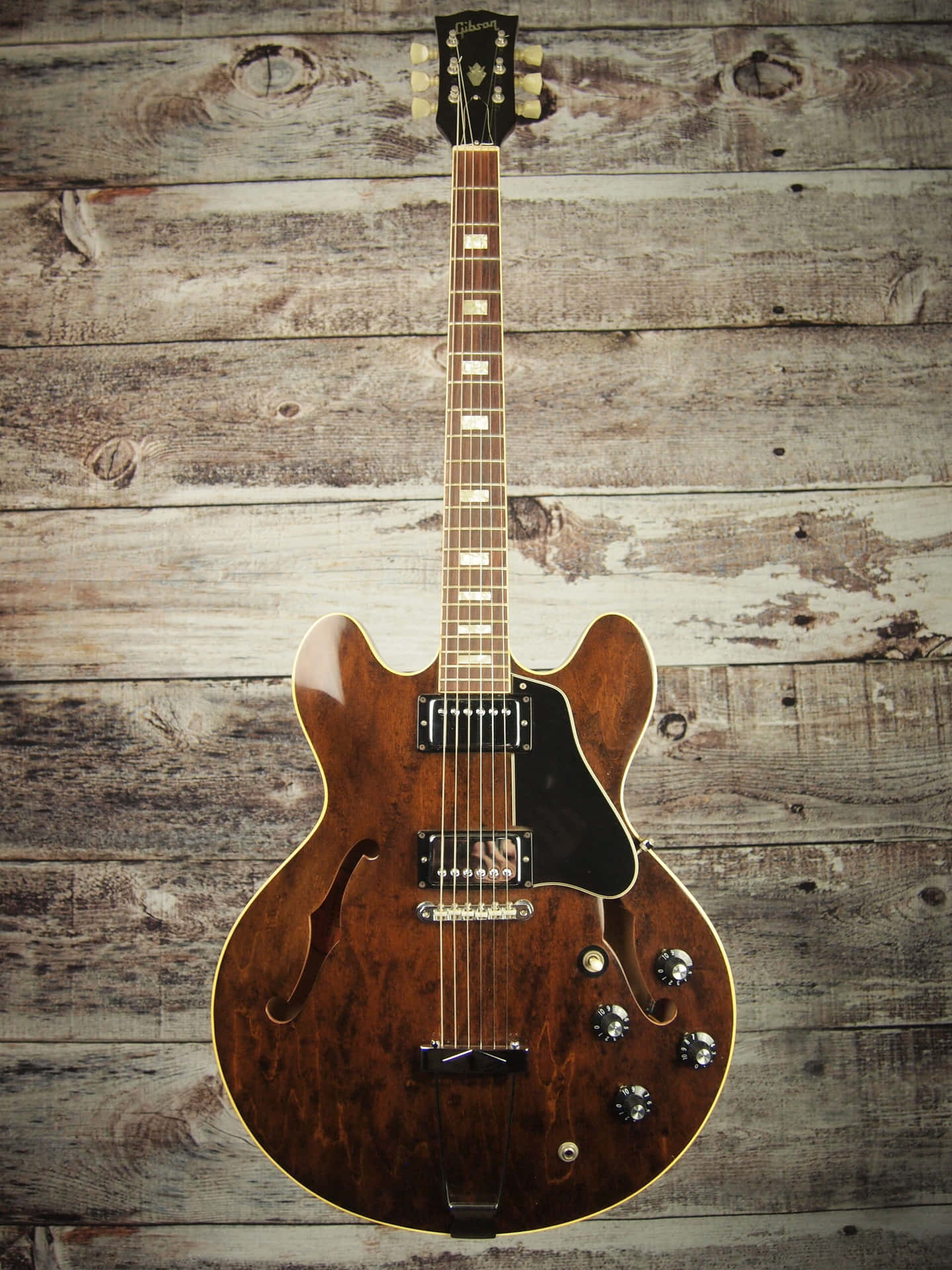 Stunning Gibson 335 Electric Guitar Background