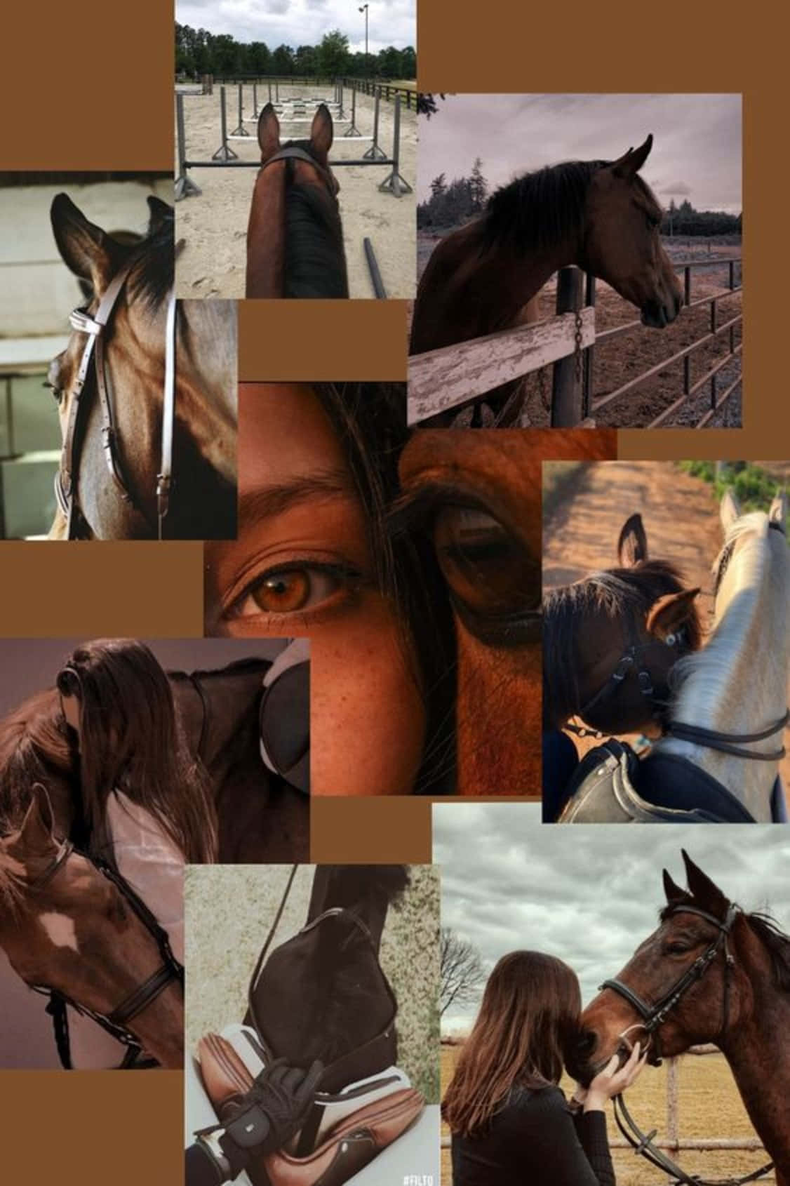Stunning Horse Collage Background