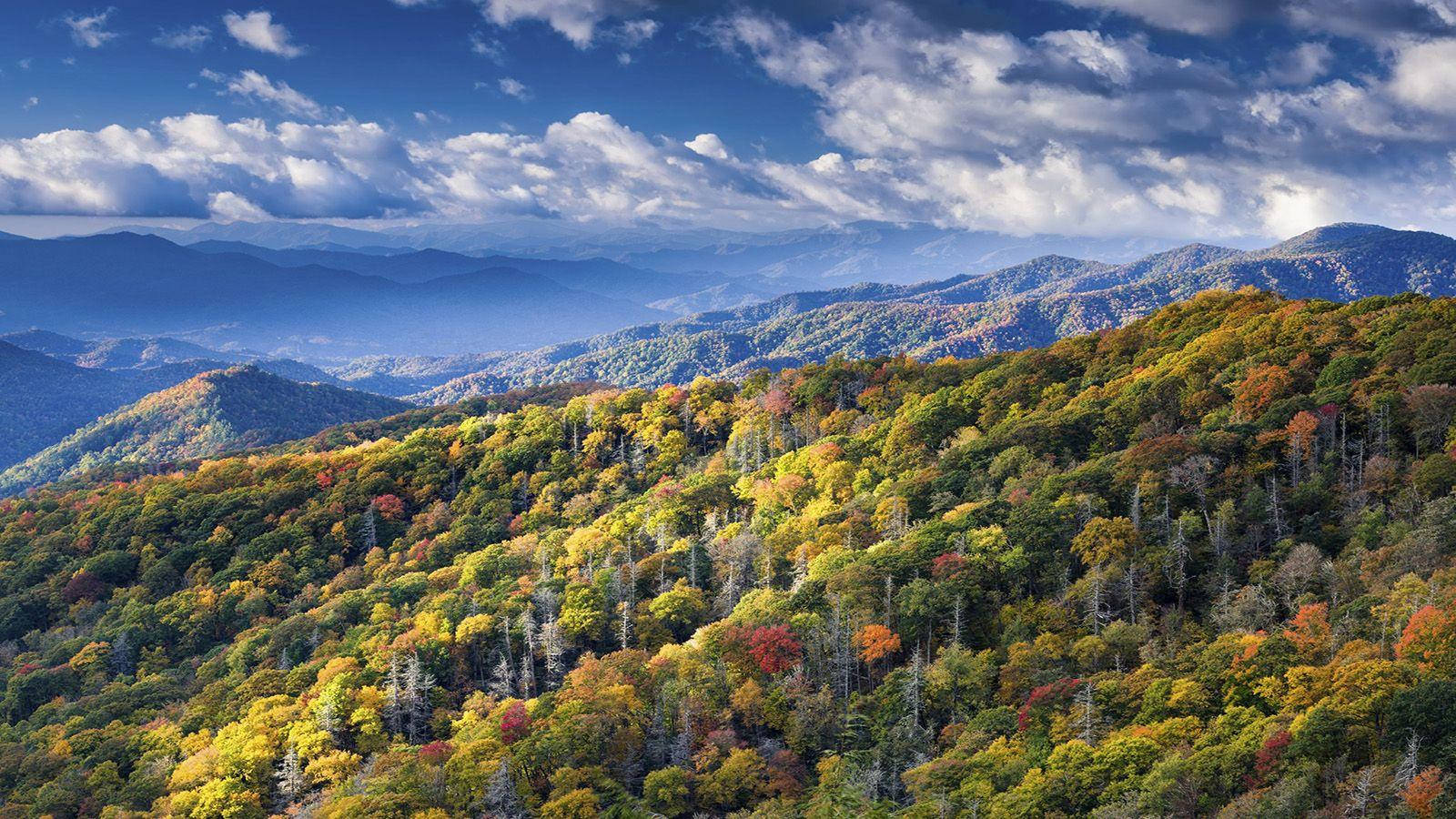 Stunning Image Of The Great Smoky Mountains Background