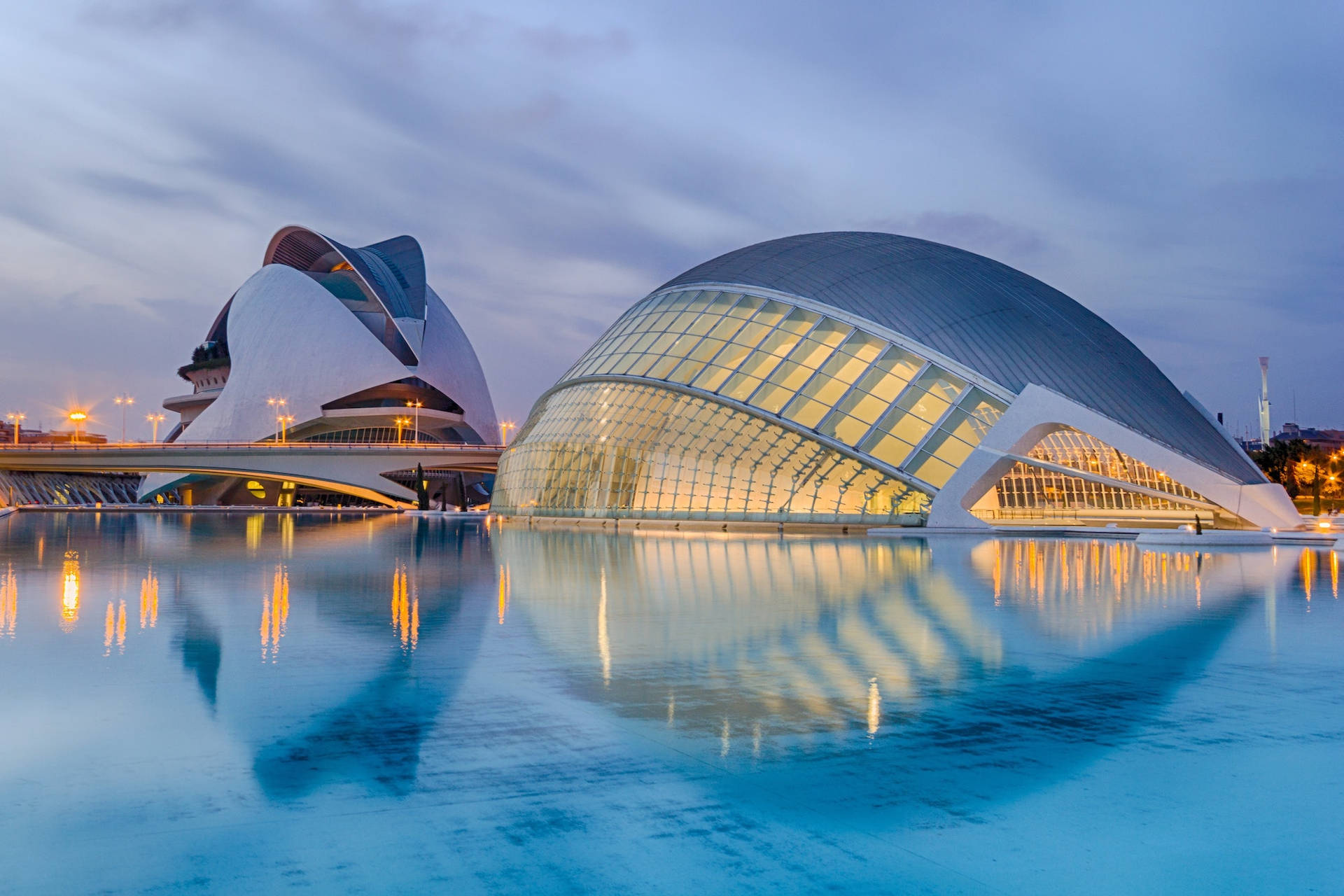 Stunning Palau De Les Arts Valencia