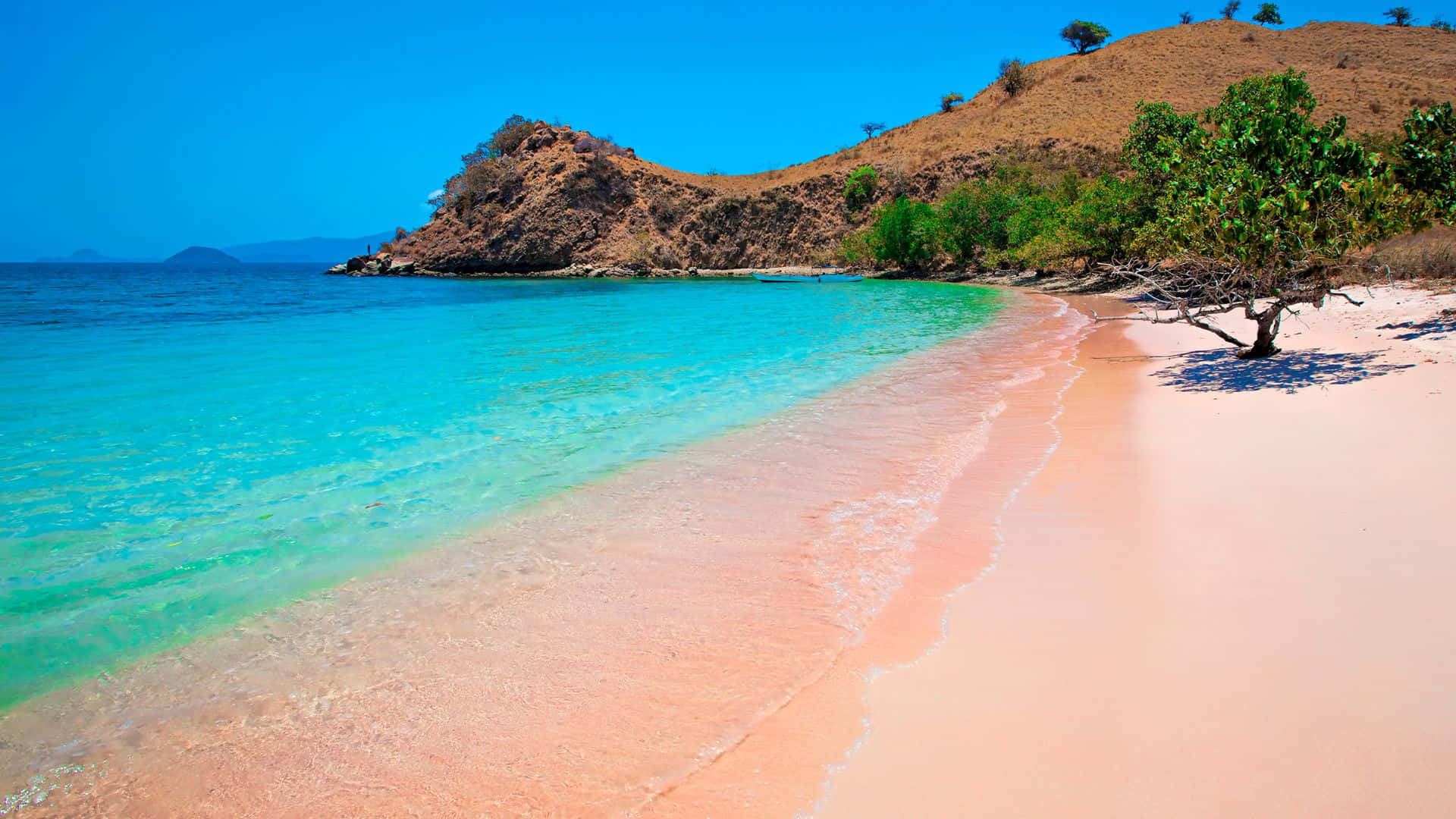 Stunning Pink Beach Sandscape Background