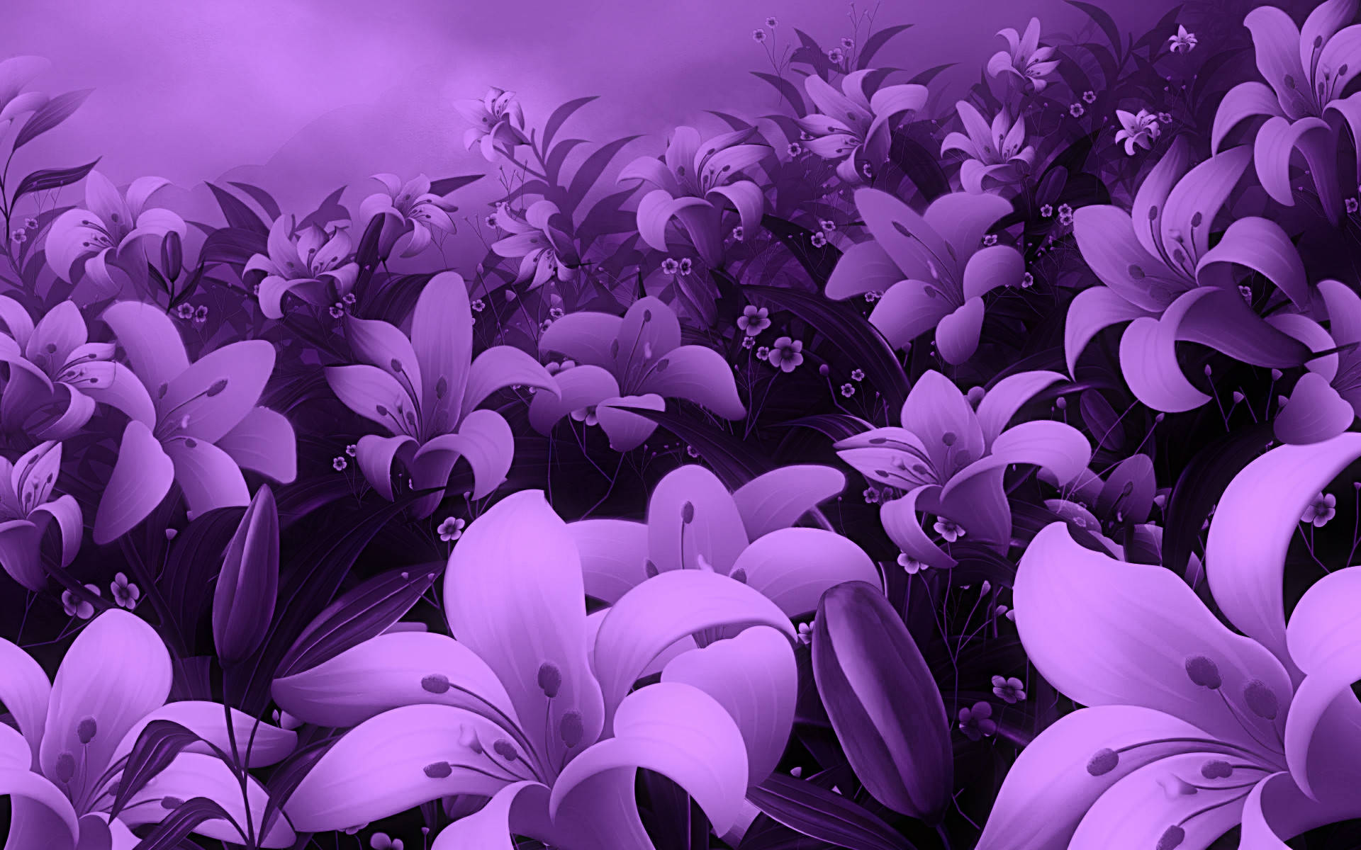 Stunning Purple Flower Desktop Background