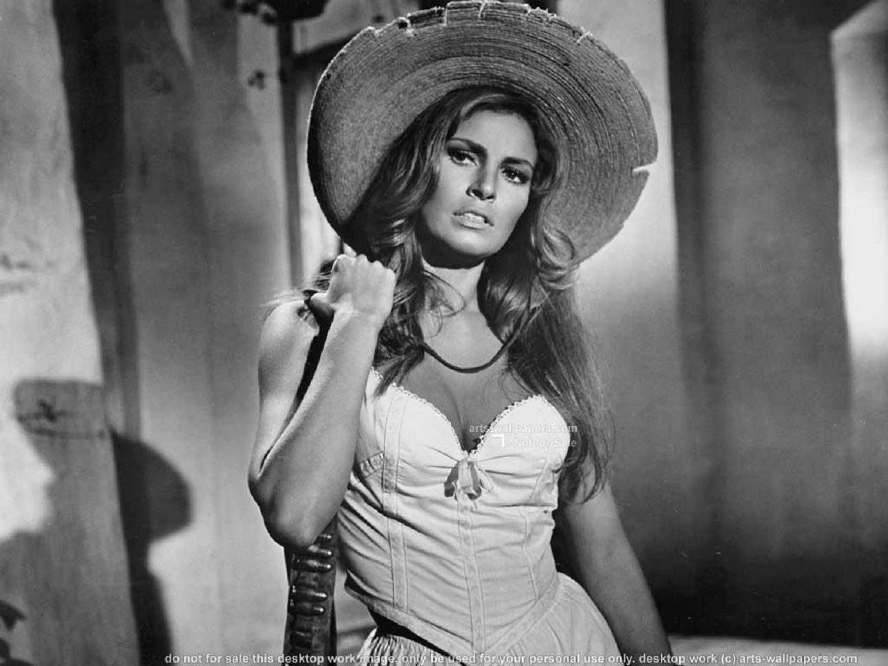 Stunning Raquel Welch In Beauteous Pose Background