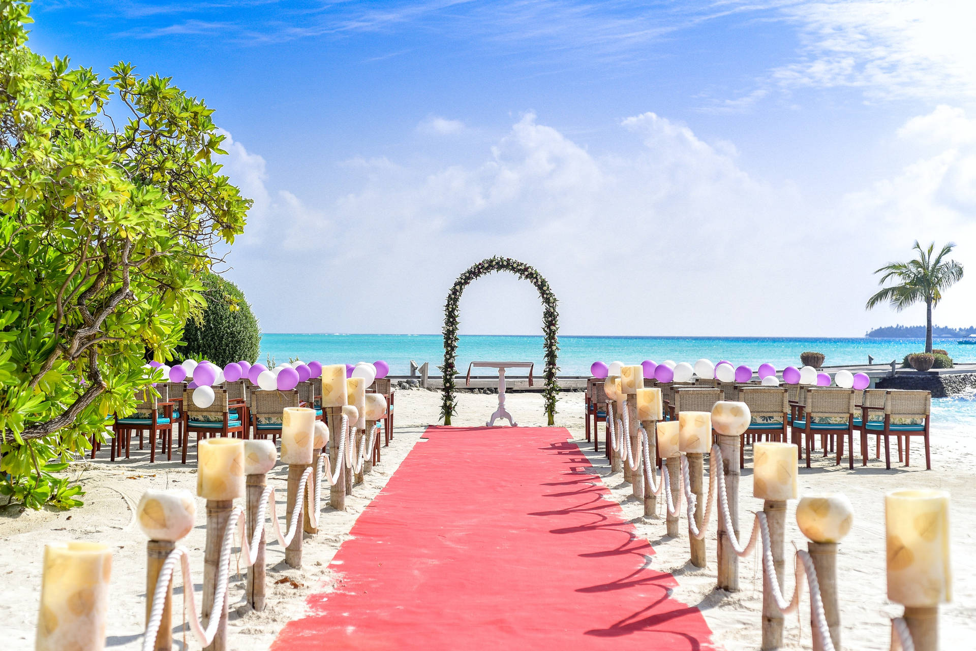 Stunning Red Carpet Beach Wedding Background