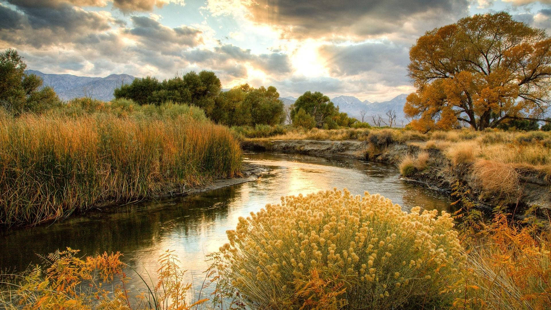 Stunning Riverside During A Cloudy Day