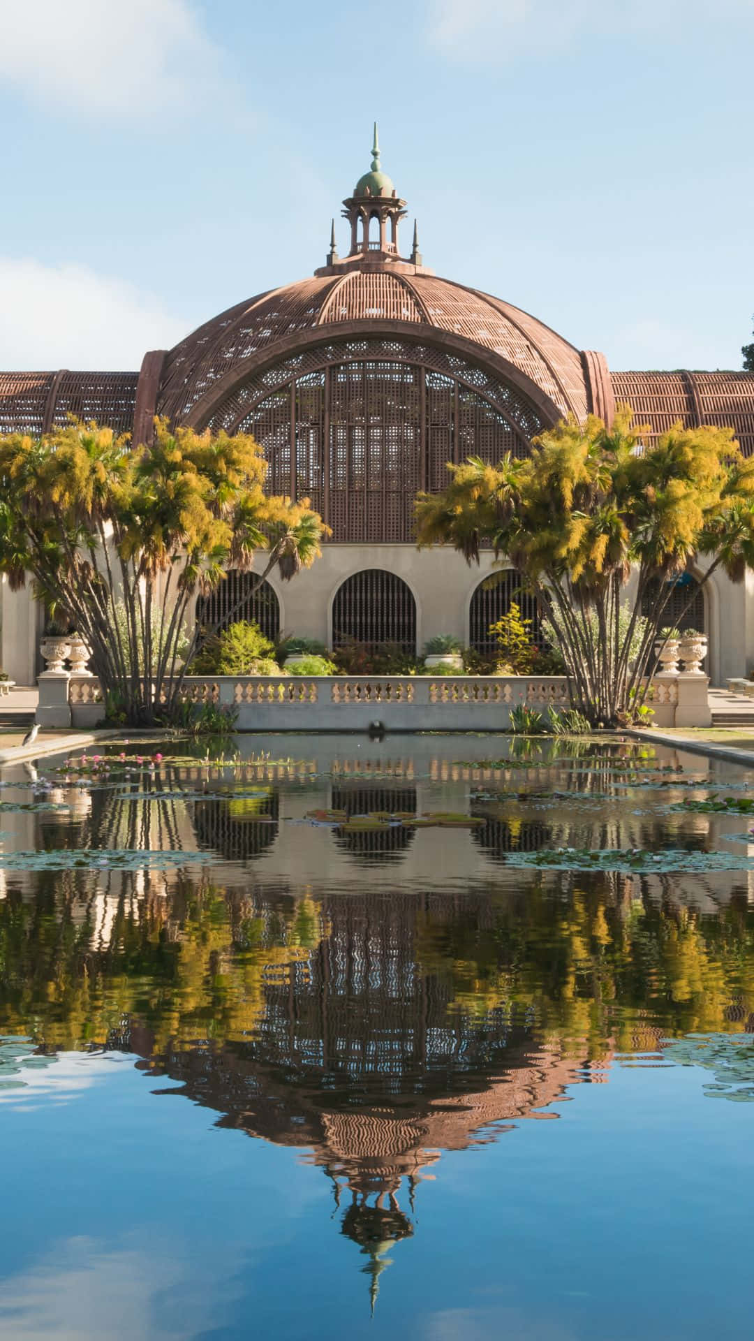 Stunning Skyline Of San Diego For Your Iphone