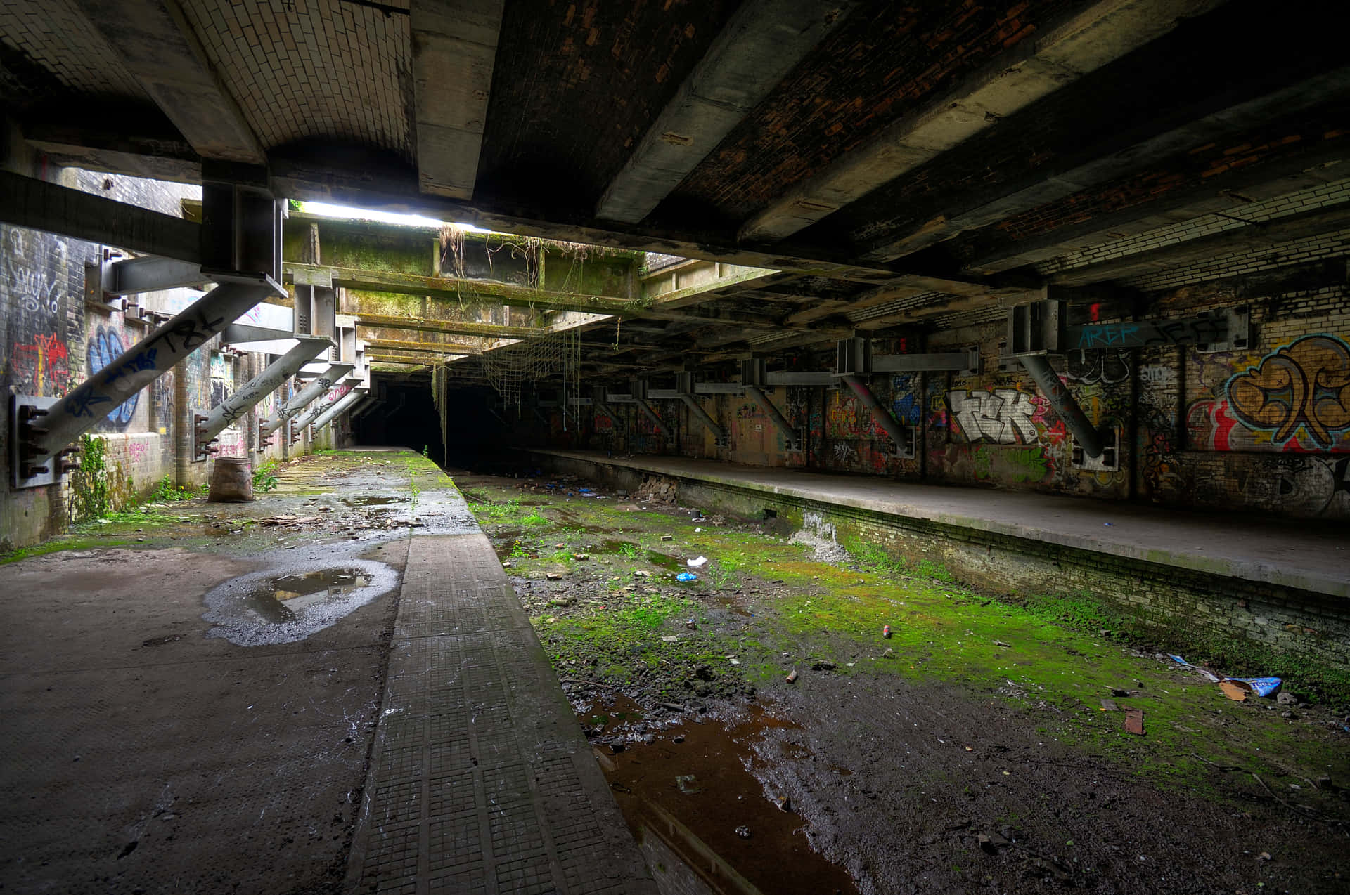 Stunning Street Graffiti