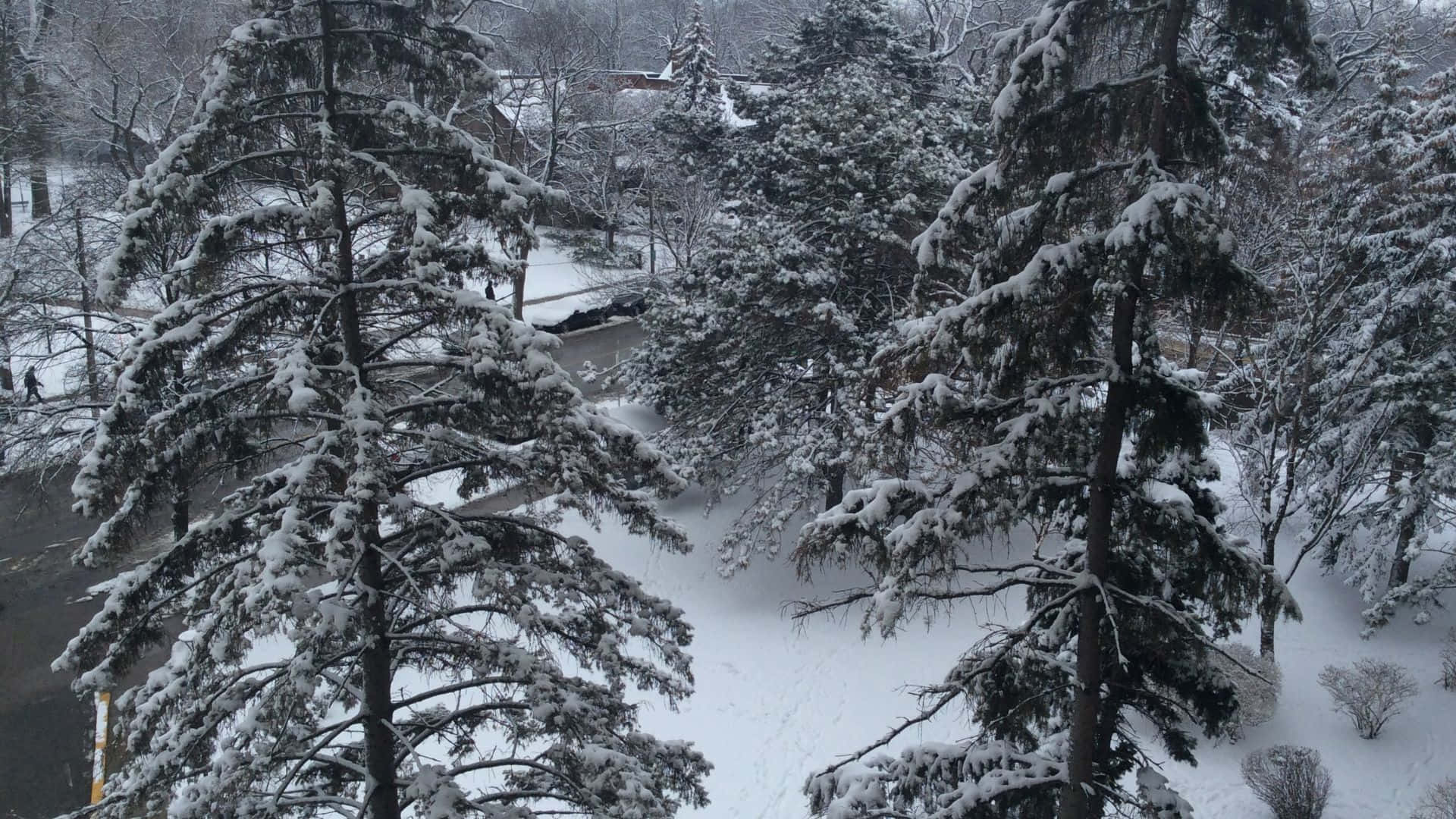 Stunning Sunrise At Mountain Lake Background