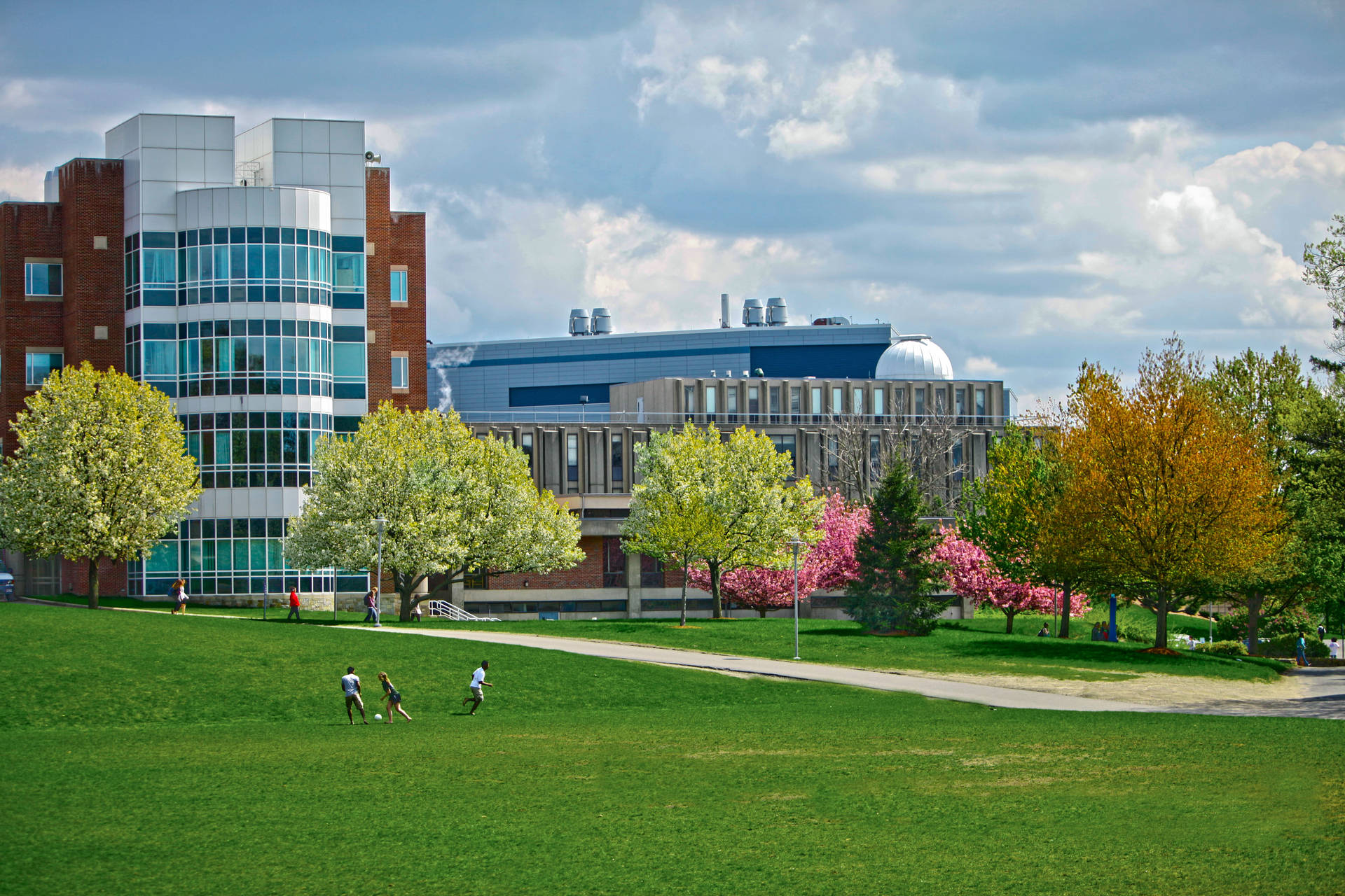 Stunning View Of Brandeis University Campus