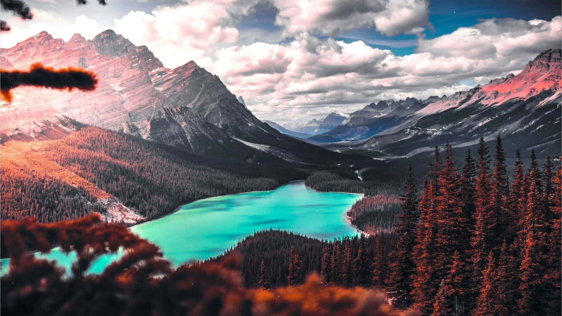 Stunning View Of Peyto Lake In The Heart Of The Canadian Rockies Background