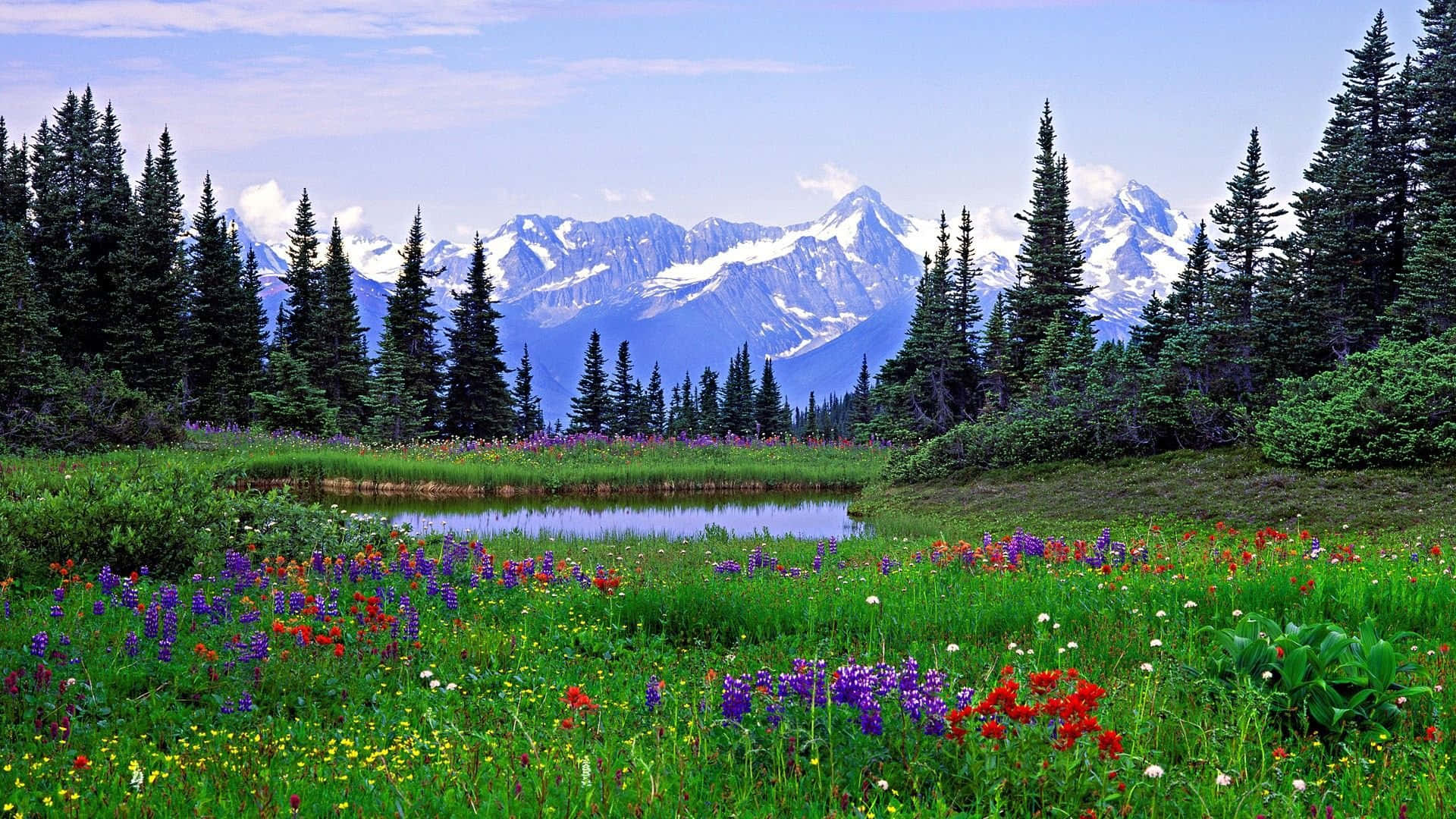 Stunning View Of The Rocky Mountains In Colorado Background