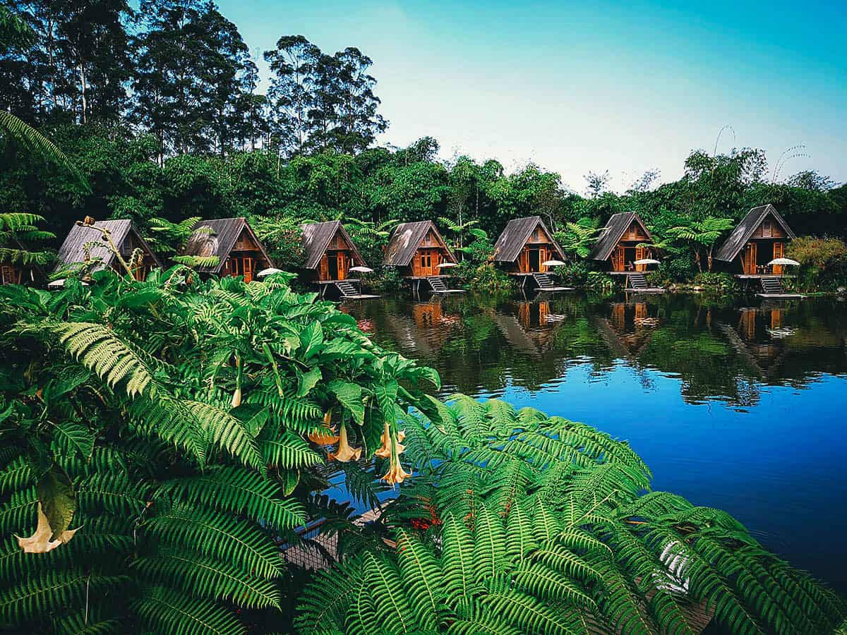 Stunning View Of The Tranquility Of Bandung's Dusun Bambu Background