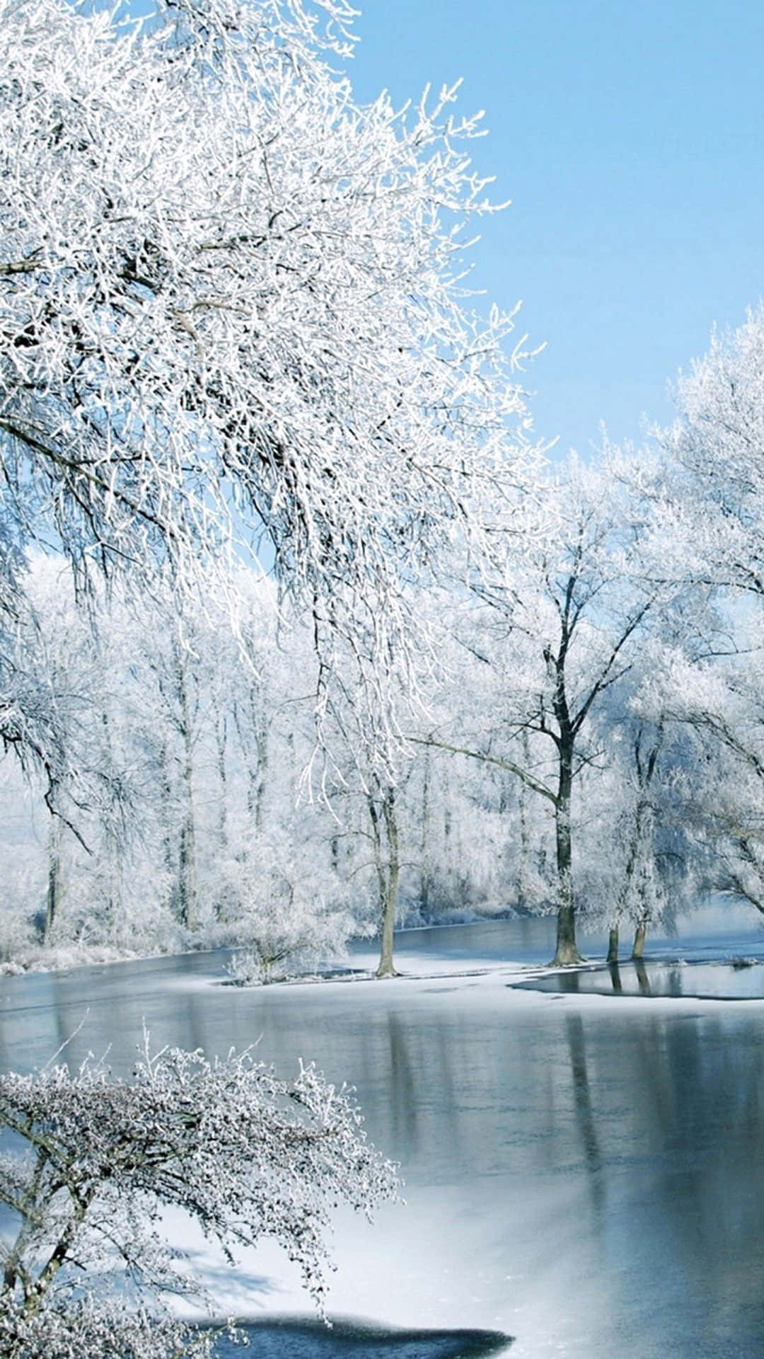 Stunning Winter Landscape - Enjoy The Moment