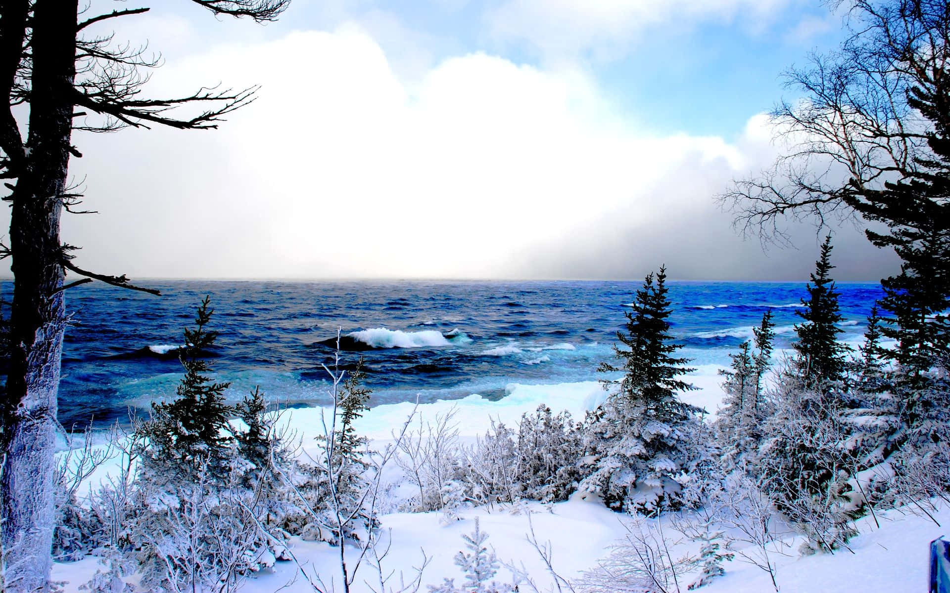 Stunning Winter Wonderland Background