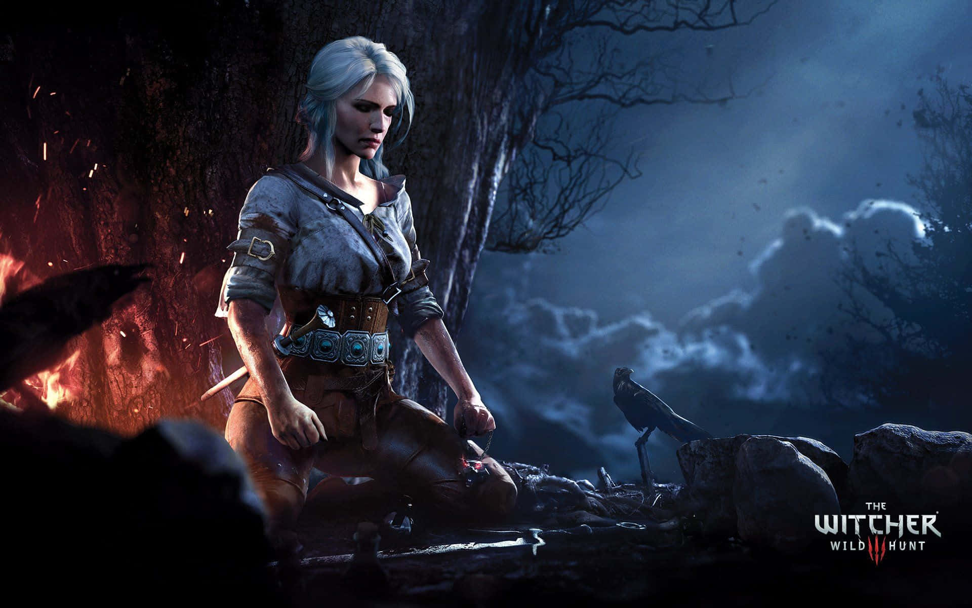 Stunning Witcher 3 Desktop Wallpaper Background