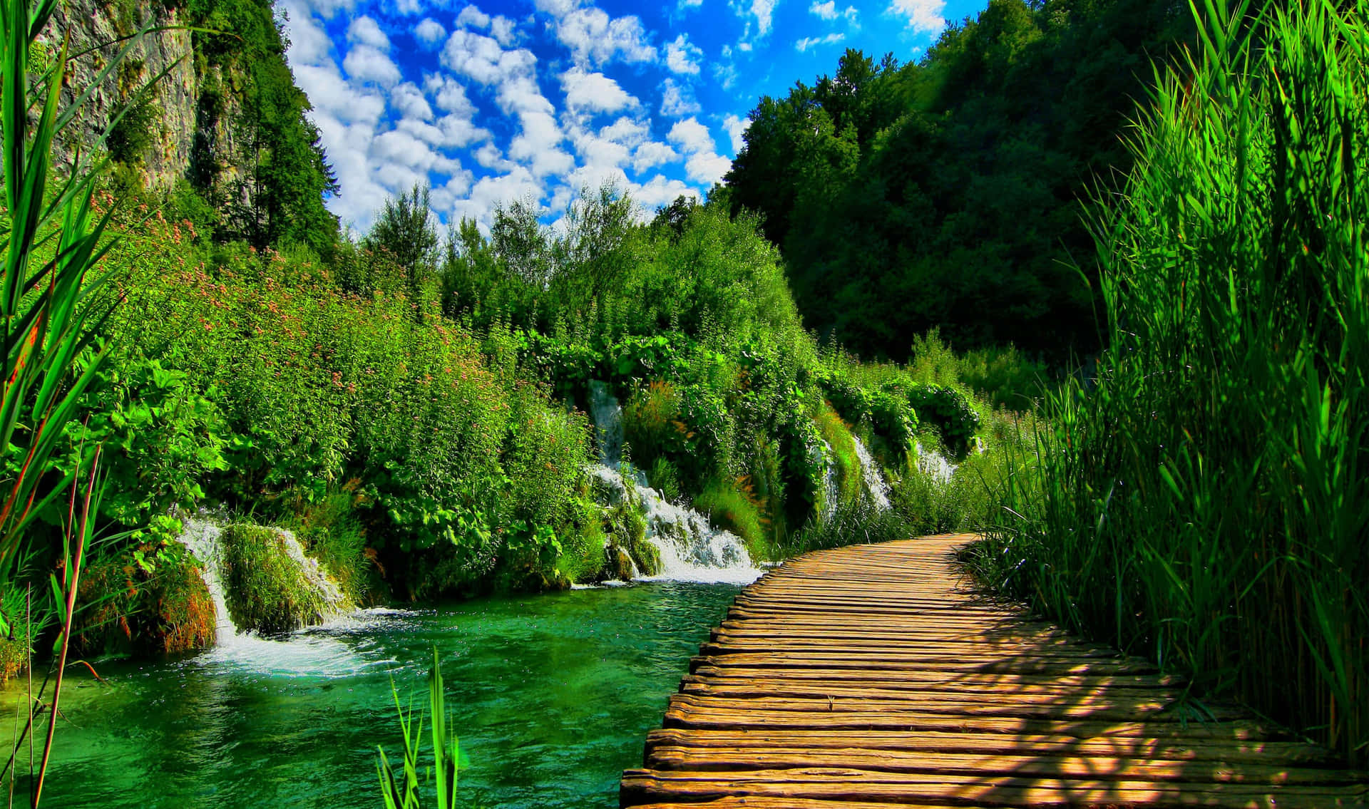 Stunning Wooden Walkway In Croatia's Nature Park Background