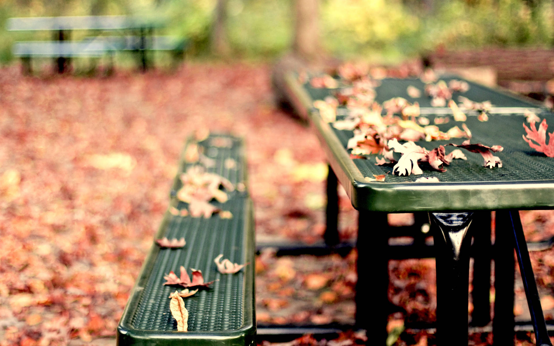 Sturdy Metal Picnic Bench In A Park Background