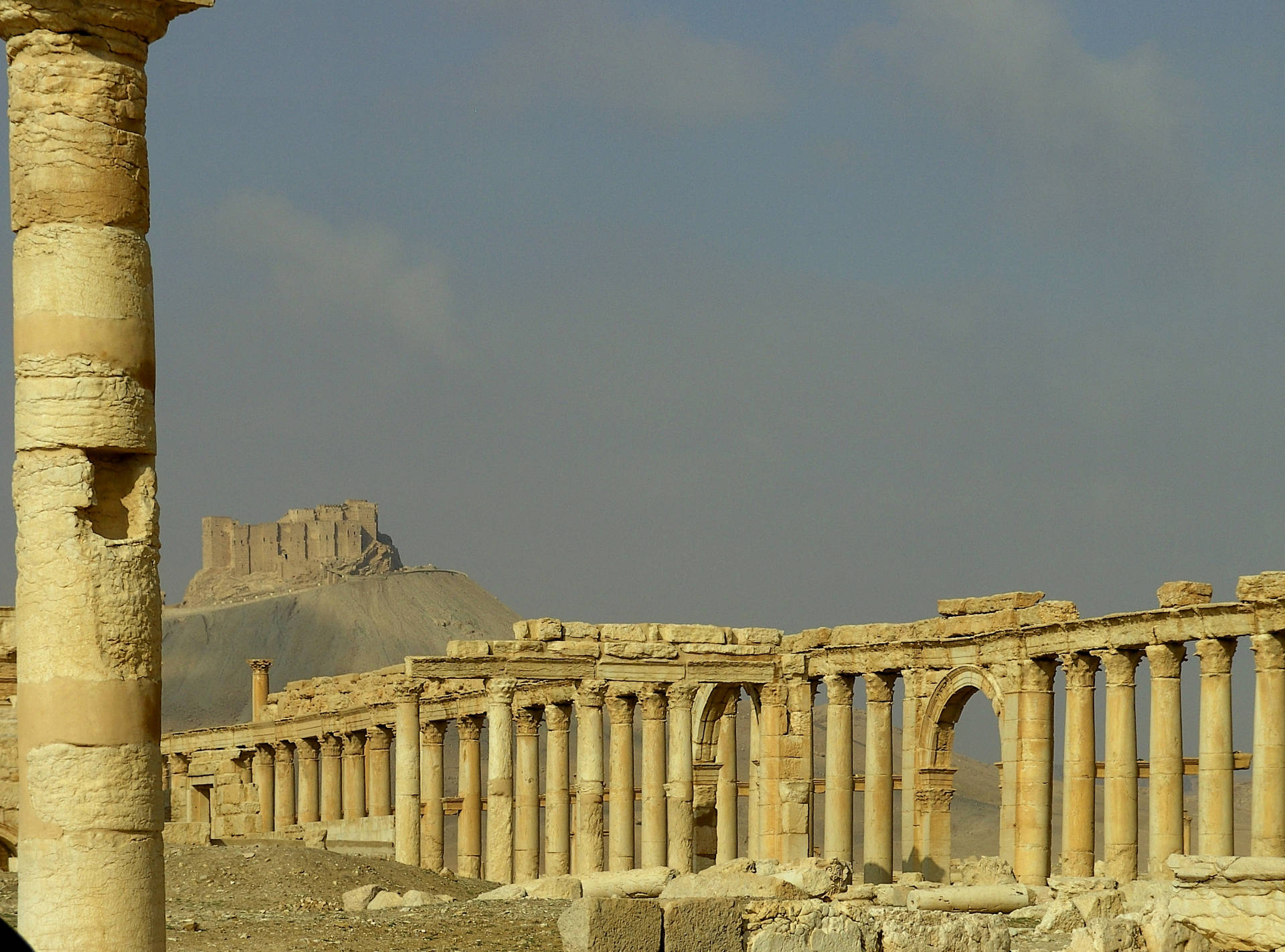 Sturdy Pillars Of The Roman Ruins, Palmyra Background