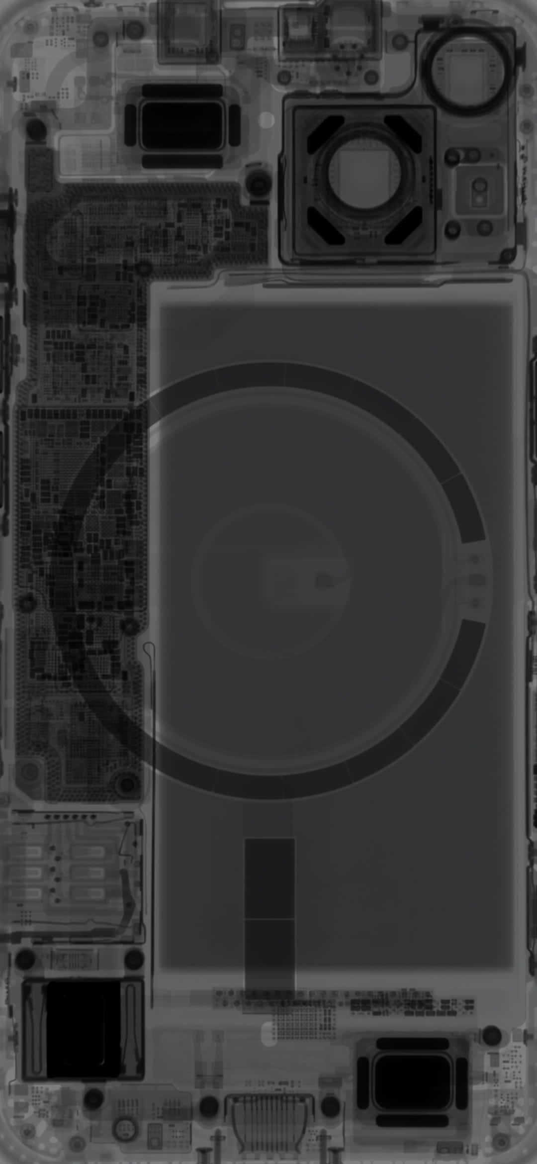 Stylish, Bold And Compact - Its The Iphone 13 Mini Background