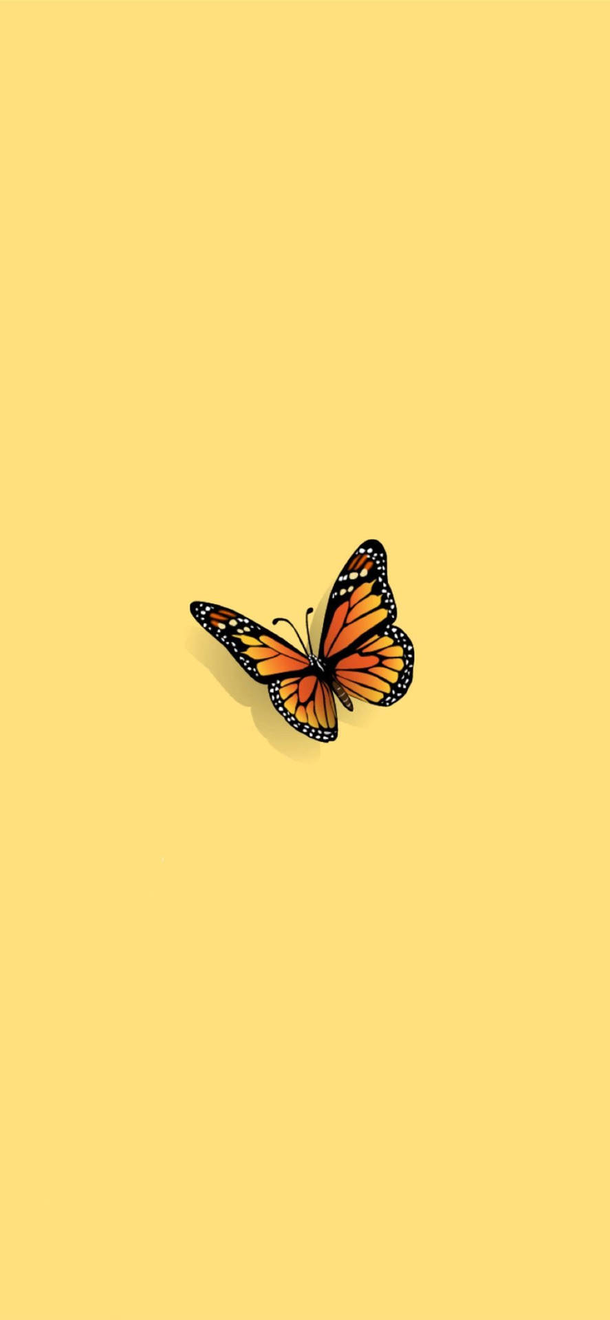 Stylish Butterfly Iphone Screen Background Background