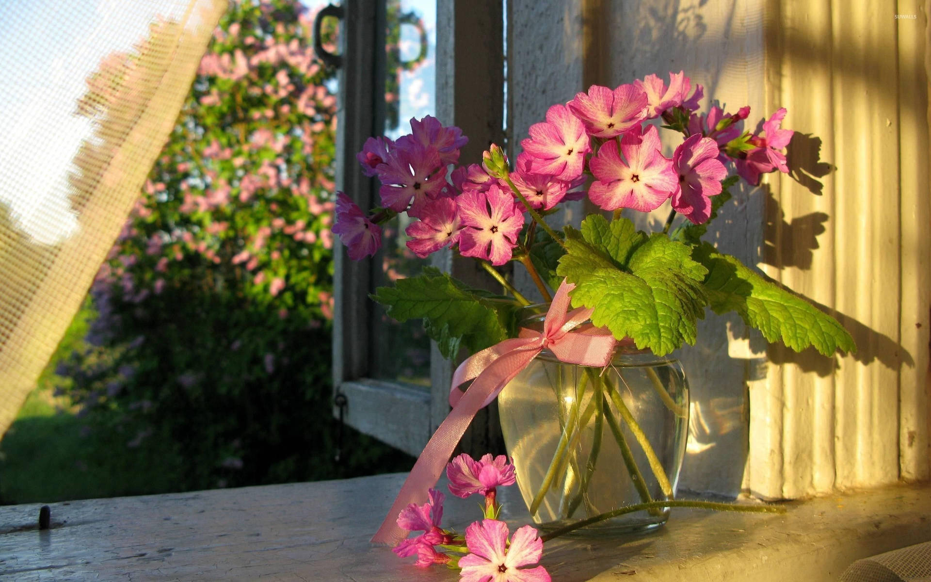 Stylish Elegance - Japanese Primrose In Clear Flower Vase