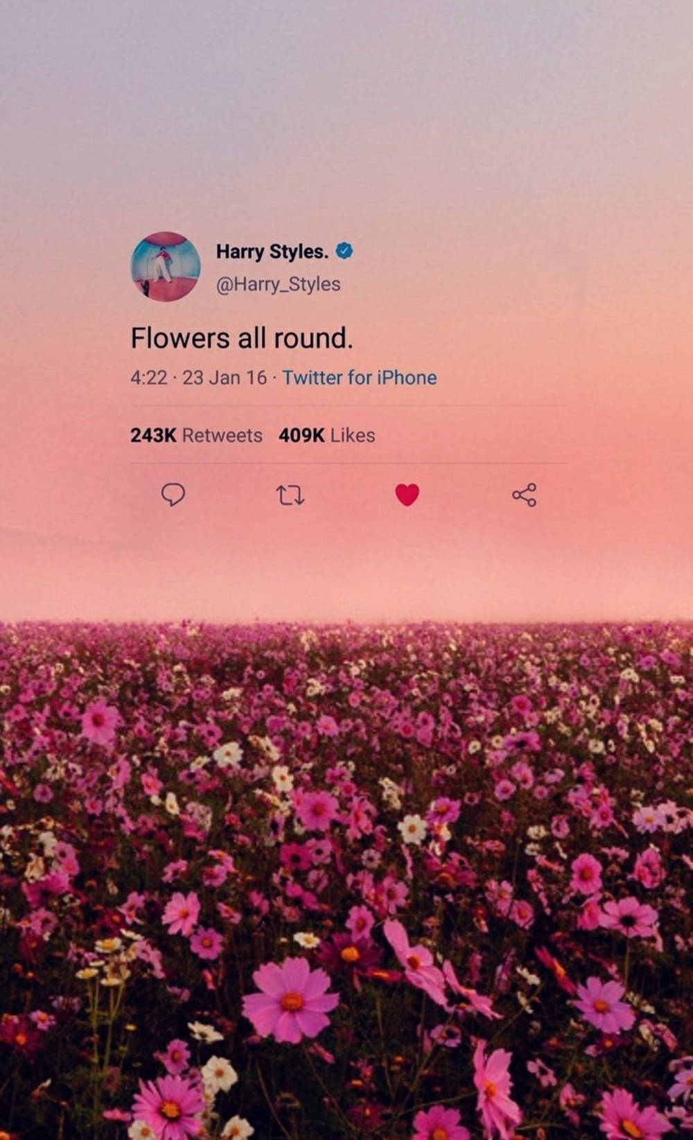 Stylish Harry Styles Aesthetic Screen Display Background