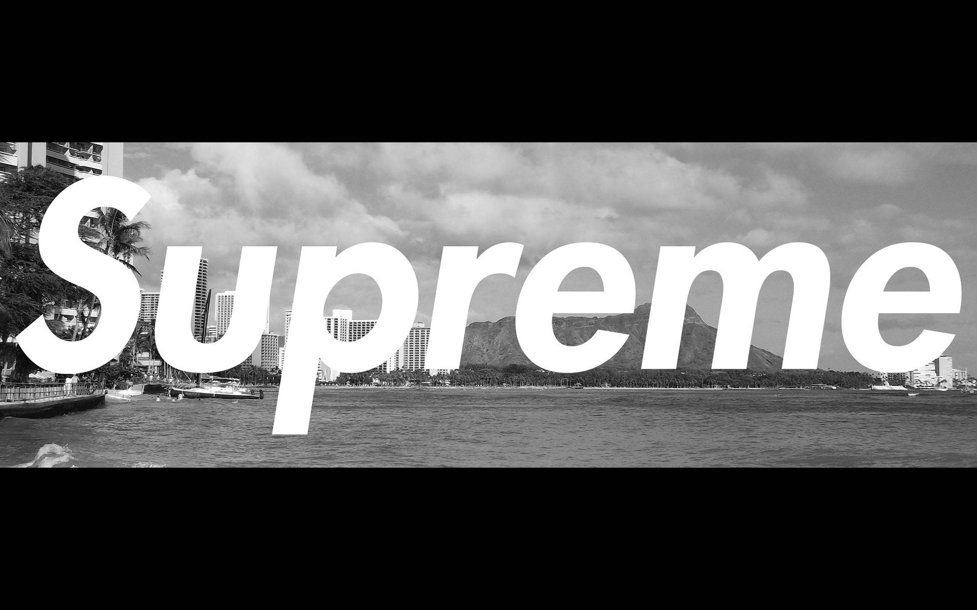 Stylish Supreme Laptop In Black And White