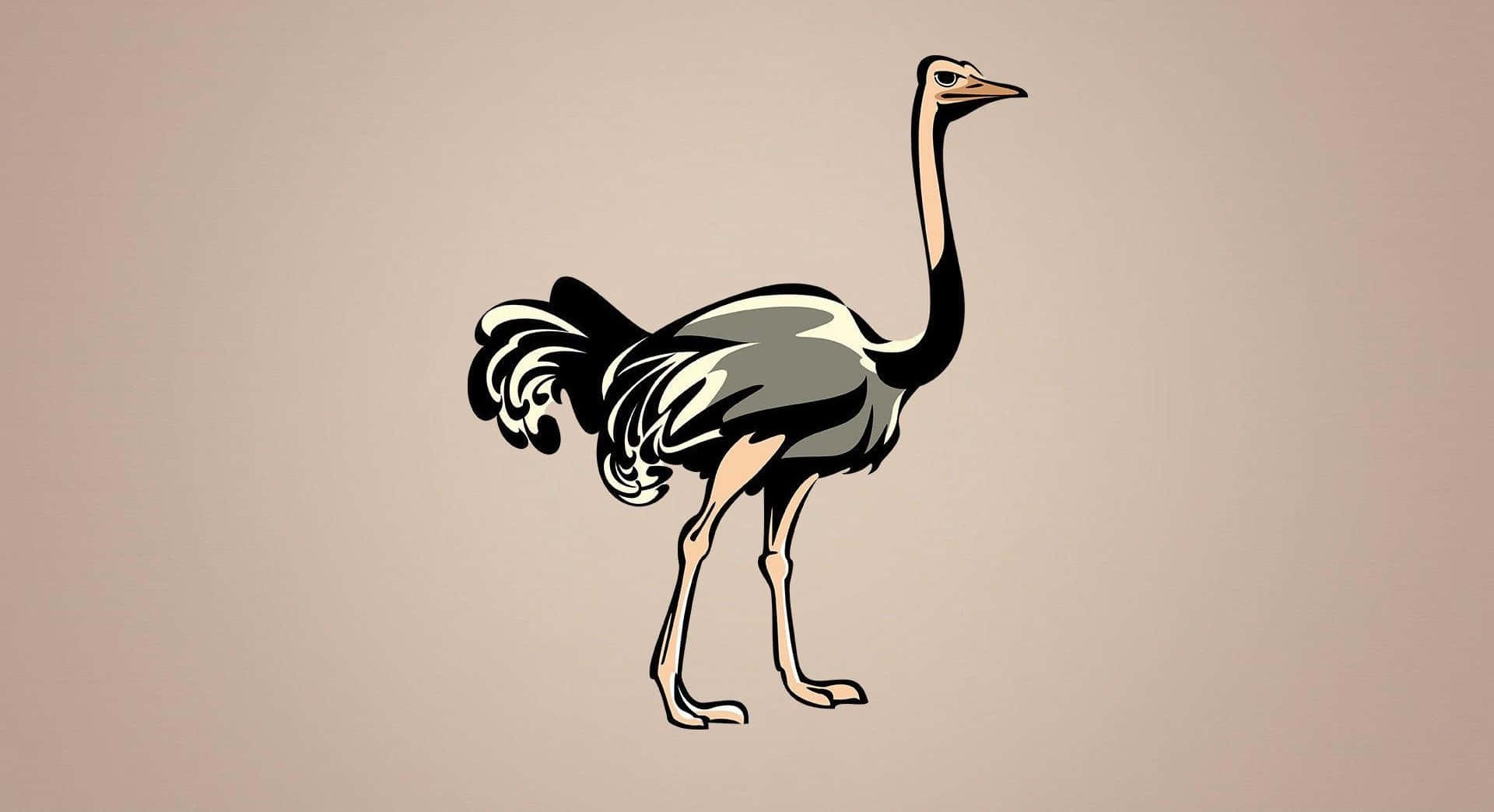 Stylized Ostrich Illustration