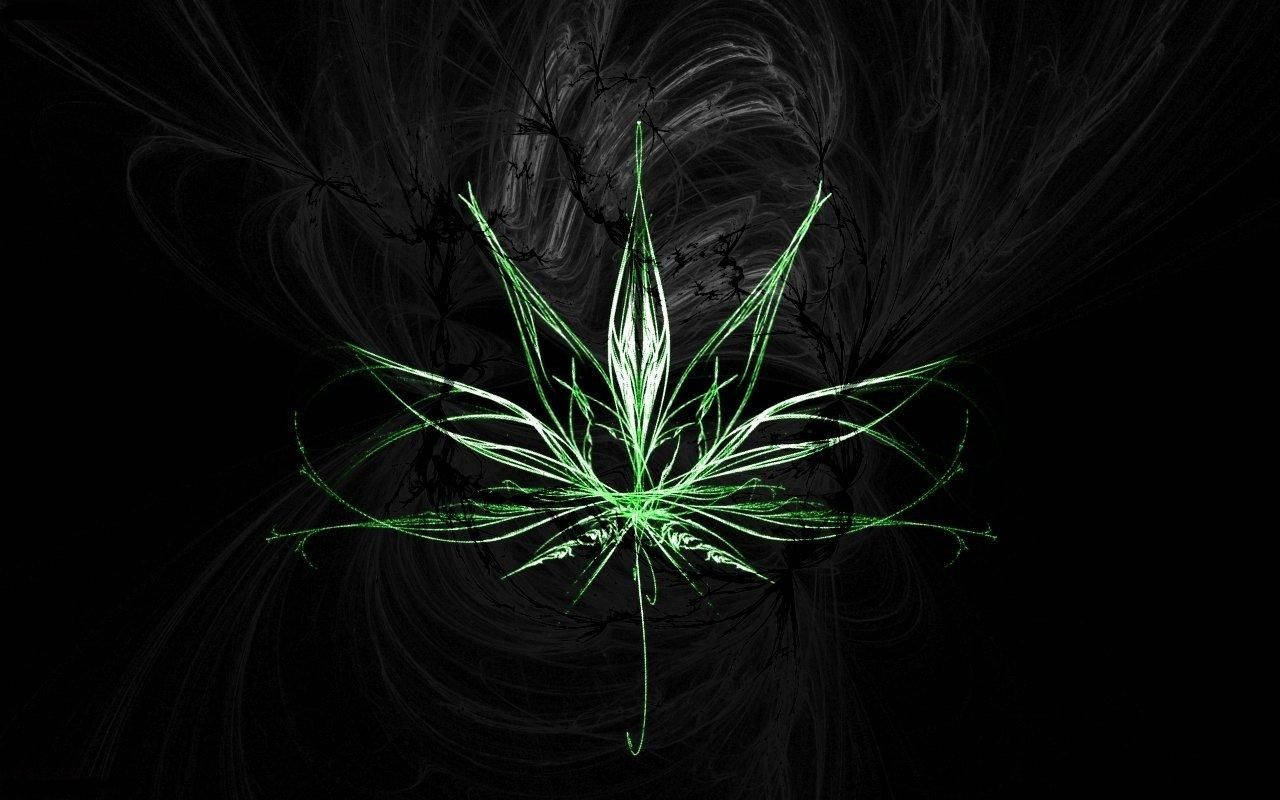 Stylized Weed Leaf Artwork Background