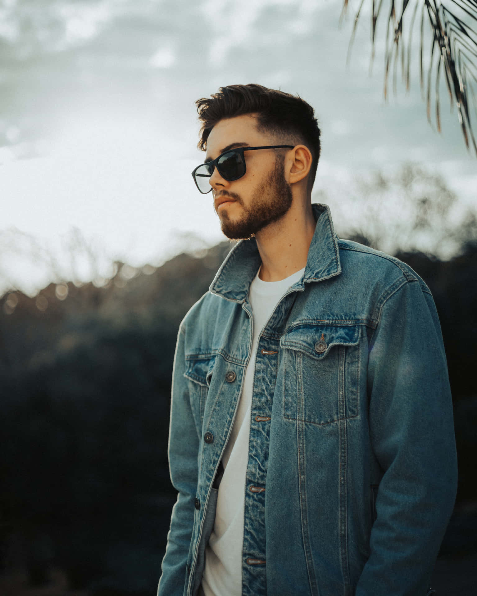 Suave Model With Pine Tree [wallpaper] Background