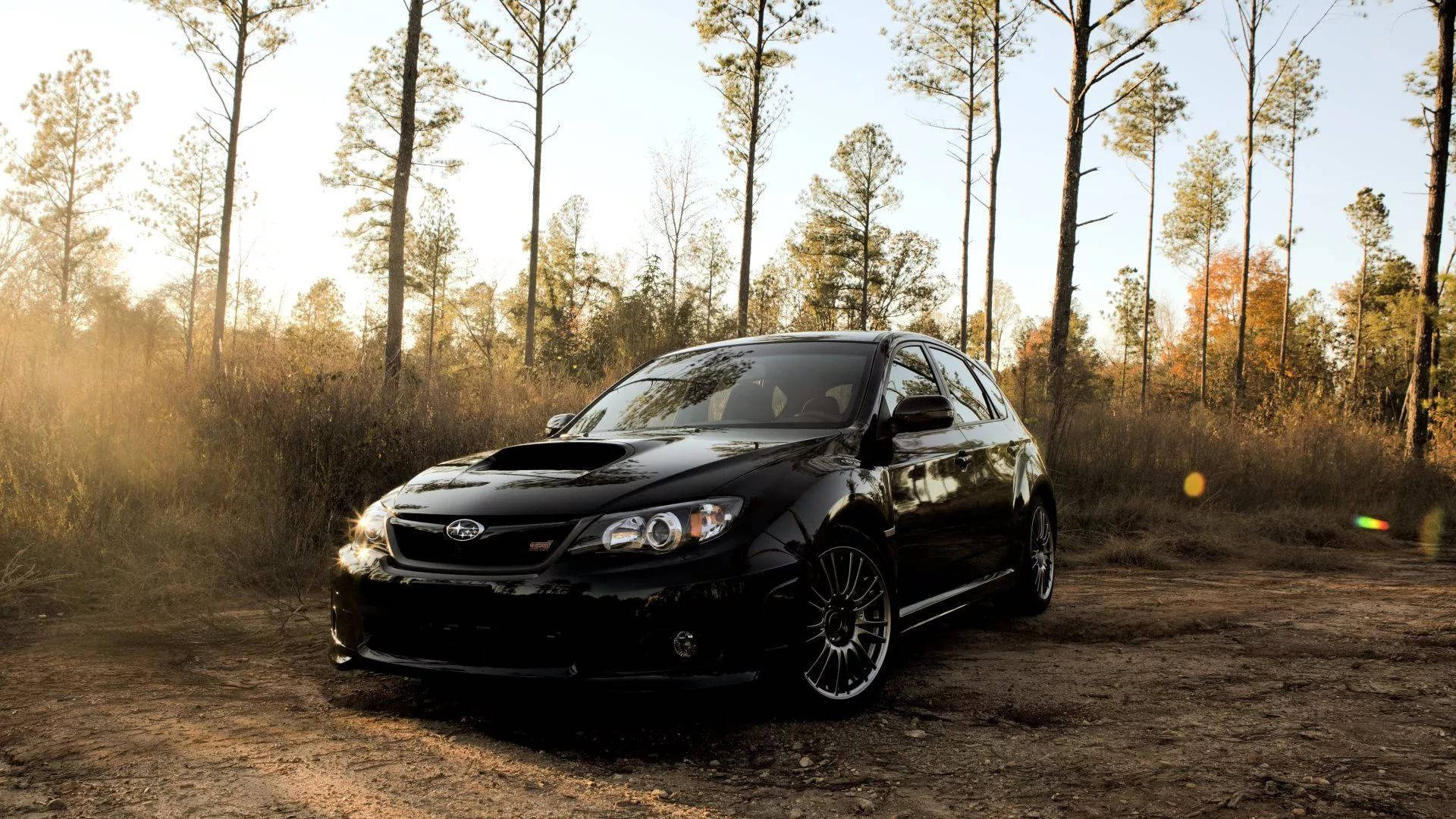 Subaru Impreza In The Woods Background