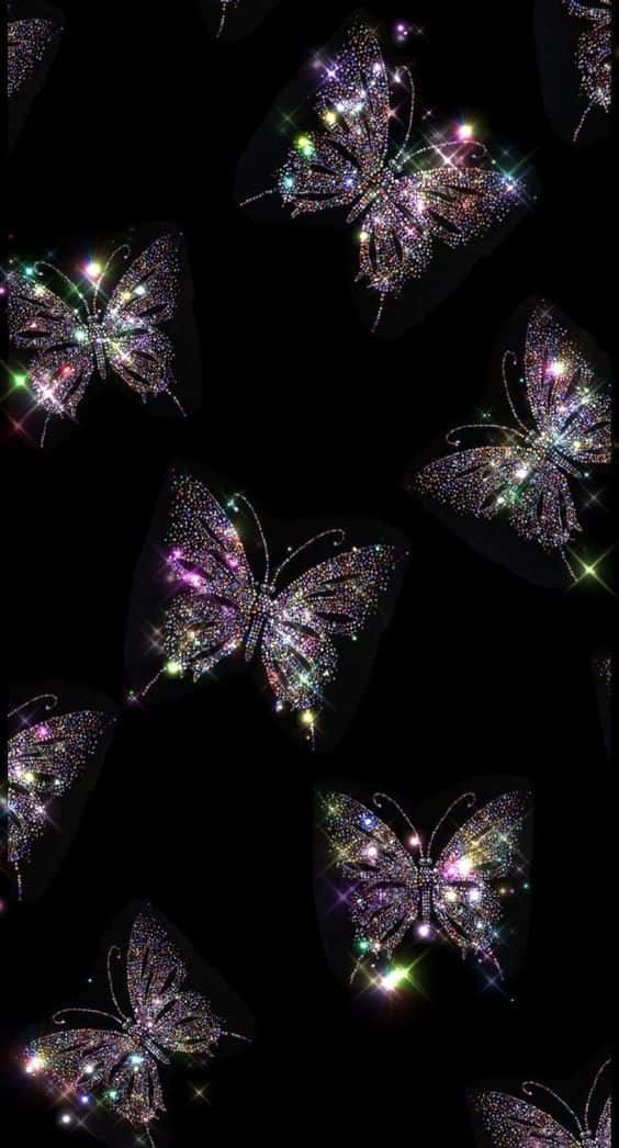 Sublime Cool Butterfly Background