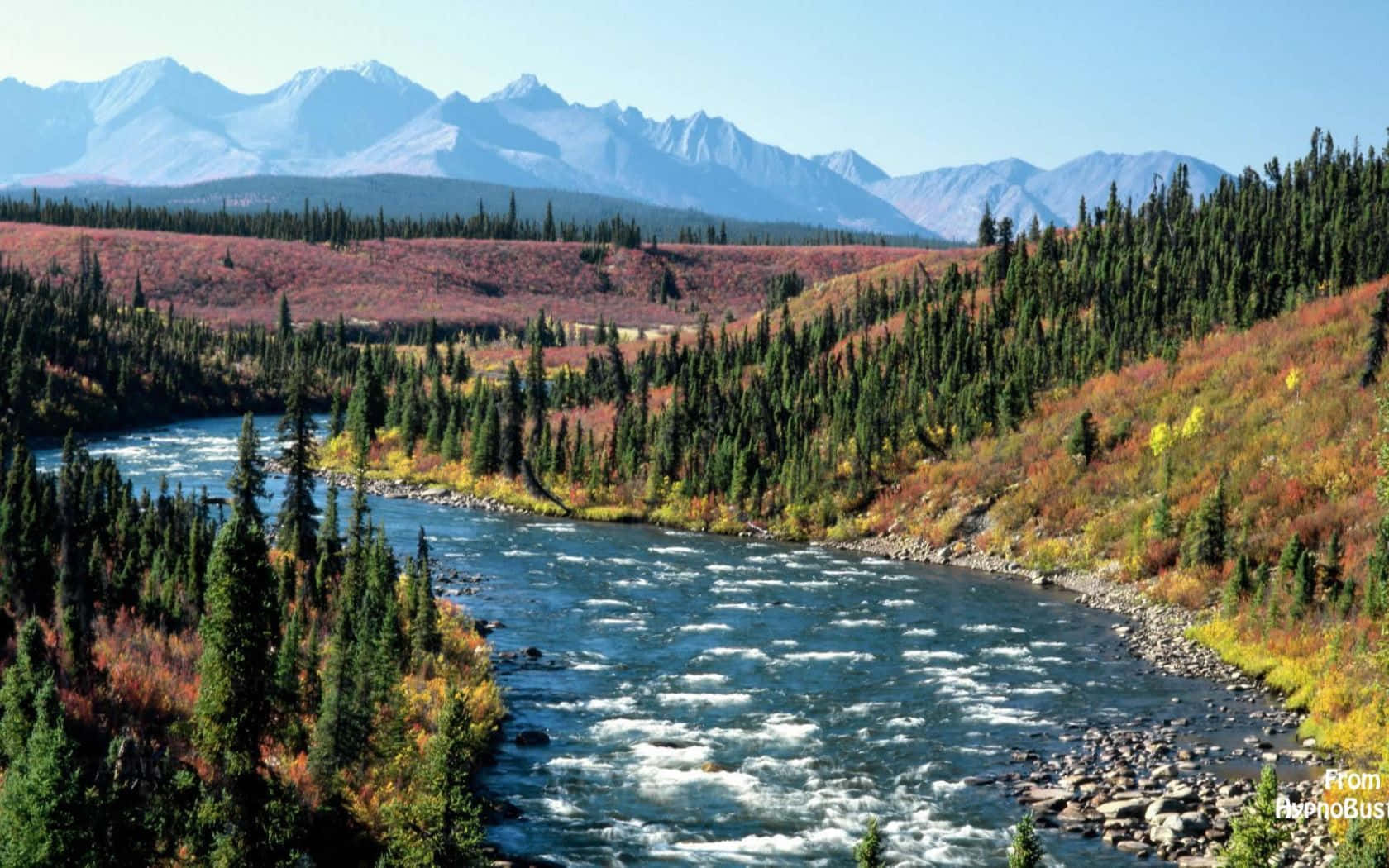 Subliminal Paradise In Yukon River Background