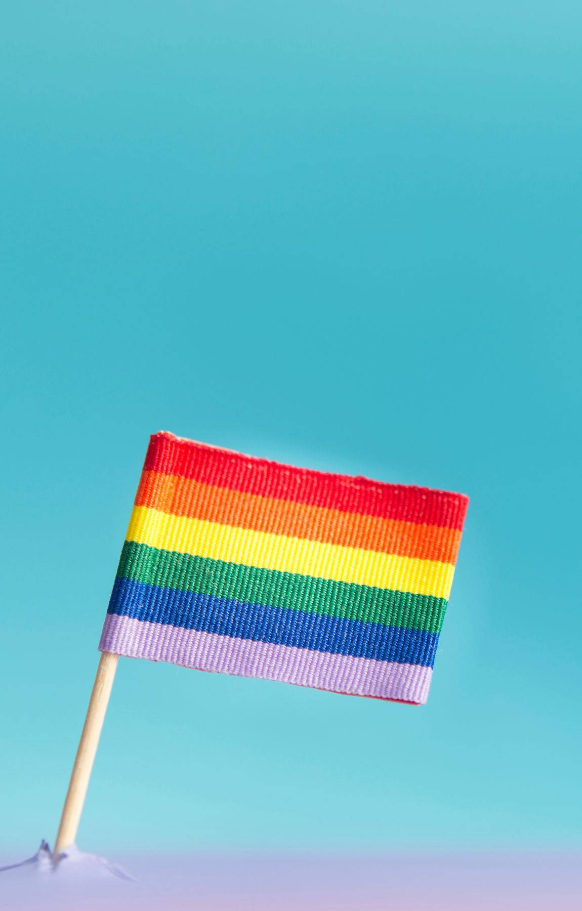 Subtle Lgbt Flag In Lavender Soil