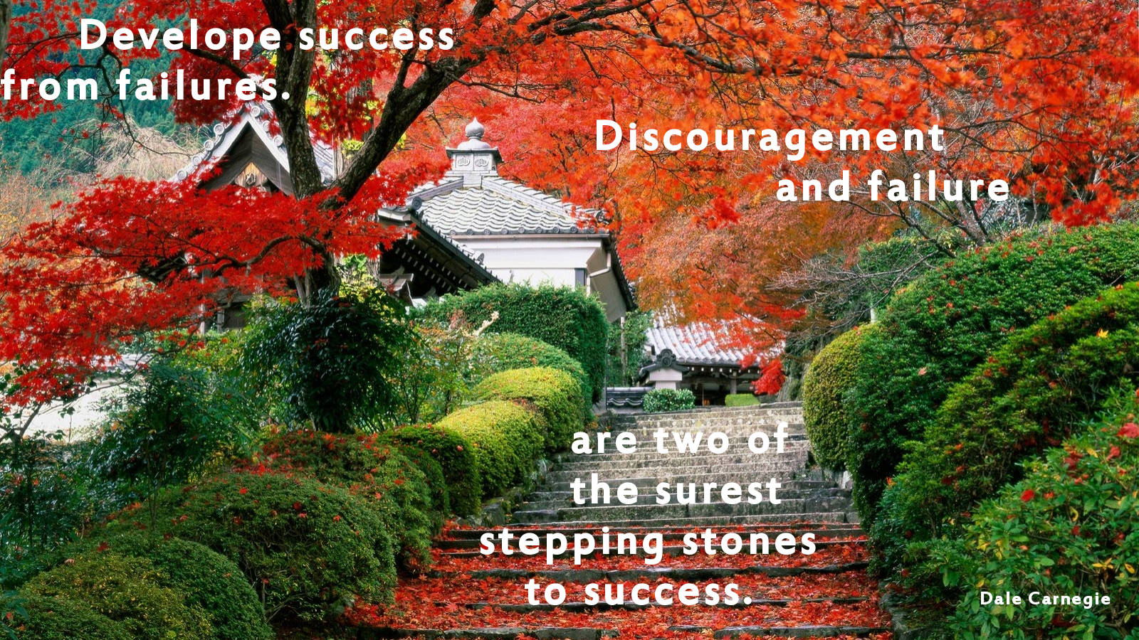 Success From Failure Quote Background