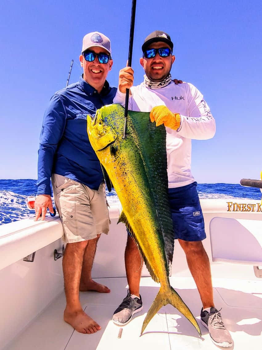 Successful Mahi Mahi Catch