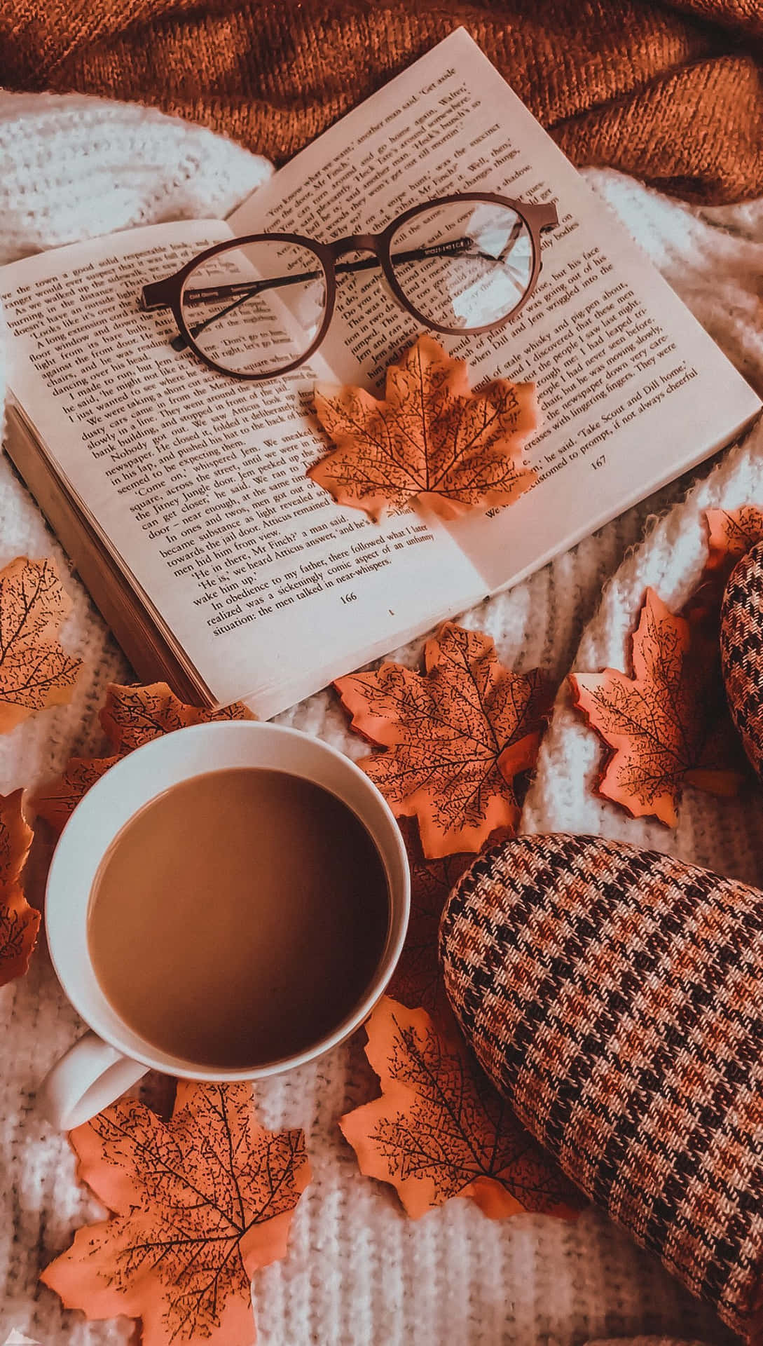 Succinct Autumn Phone Background