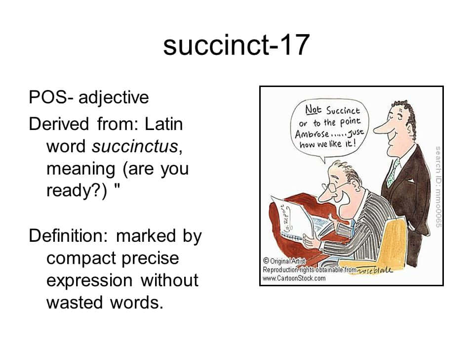Succinct Meaning Background