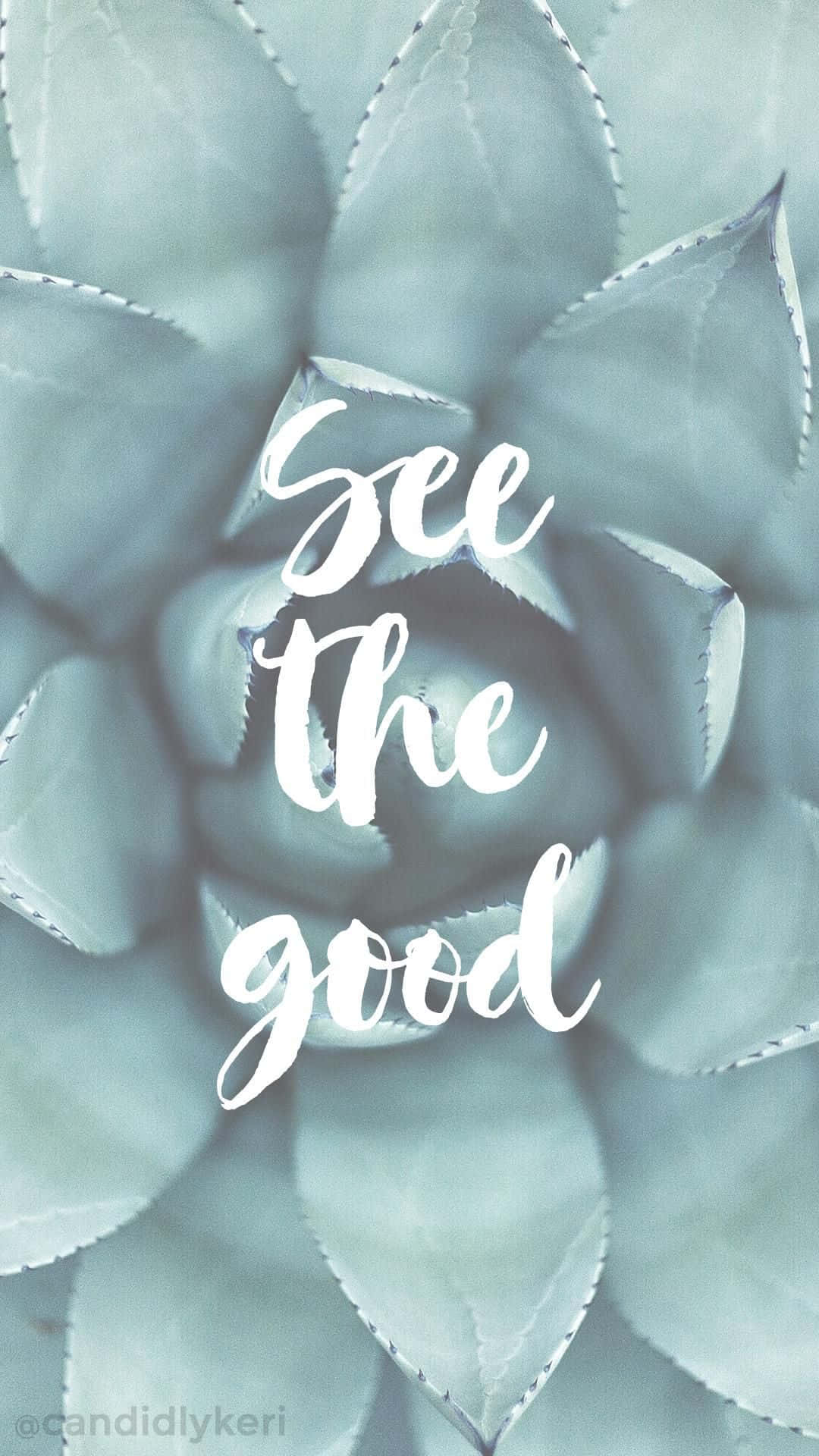 Succulent Iphone Motivational Quote Background