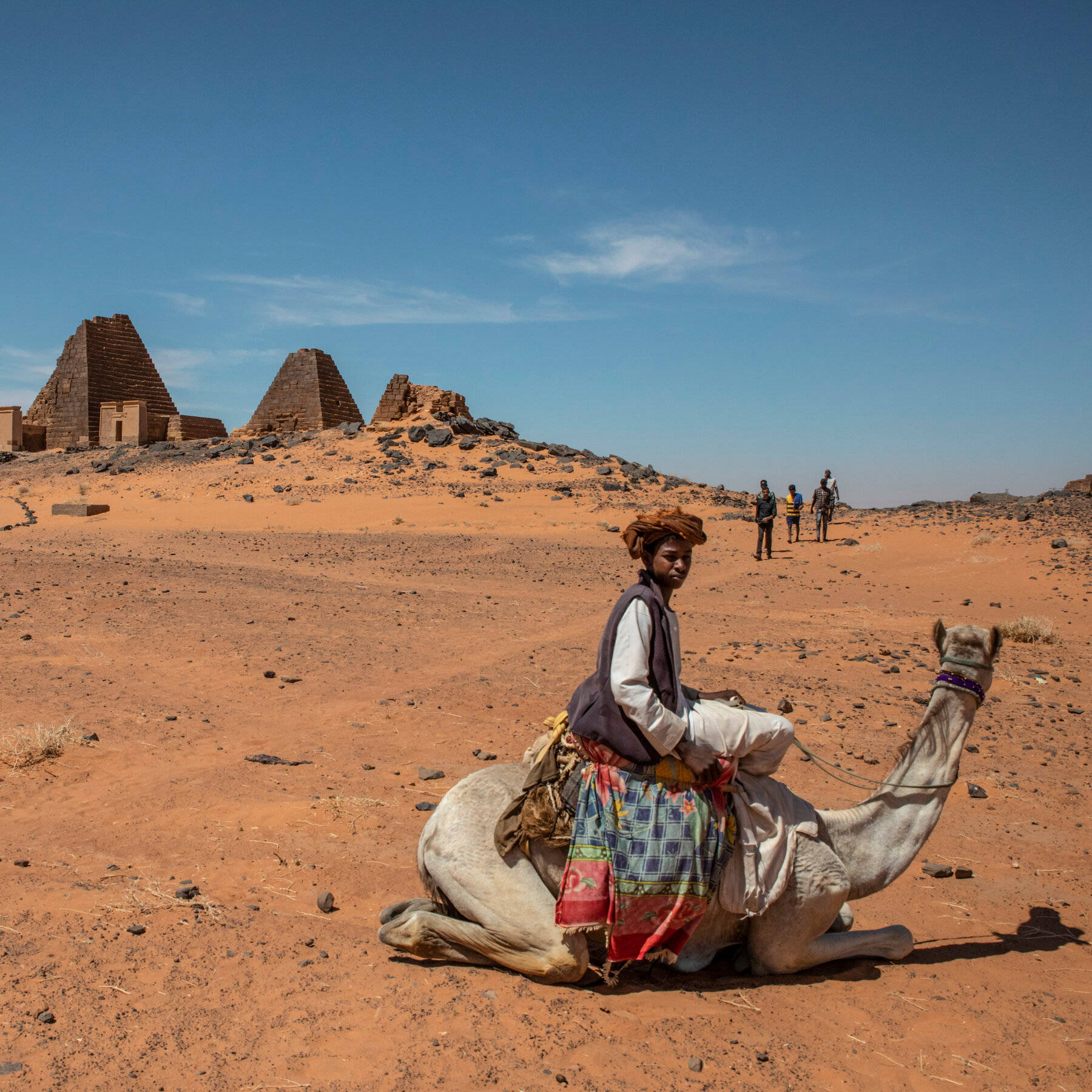 Sudan Boy Riding A Camel Background