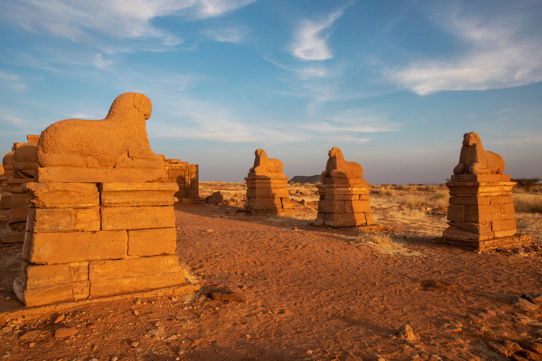 Sudan Sphinx Statues Background